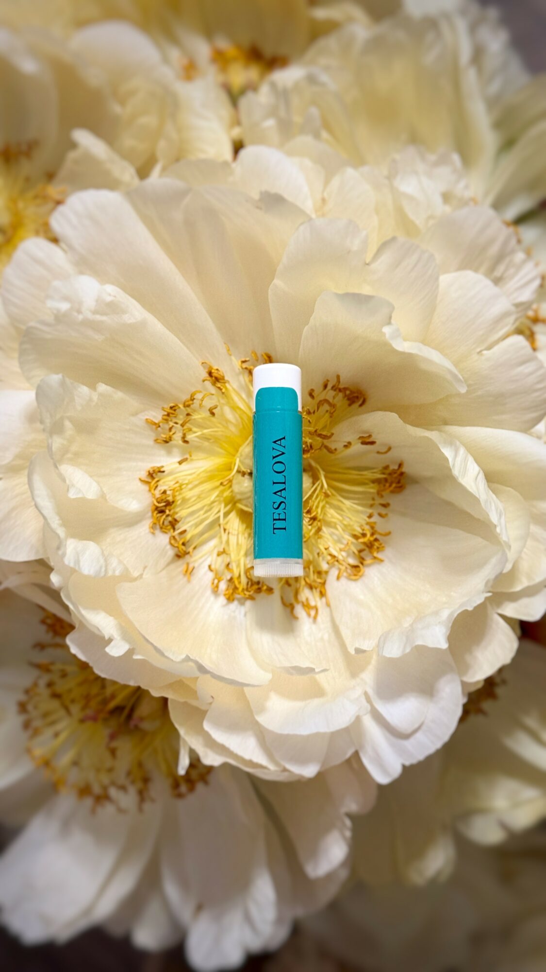 A small blue and white tube labeled 'Vaseline' placed on white flowers with yellow centers.