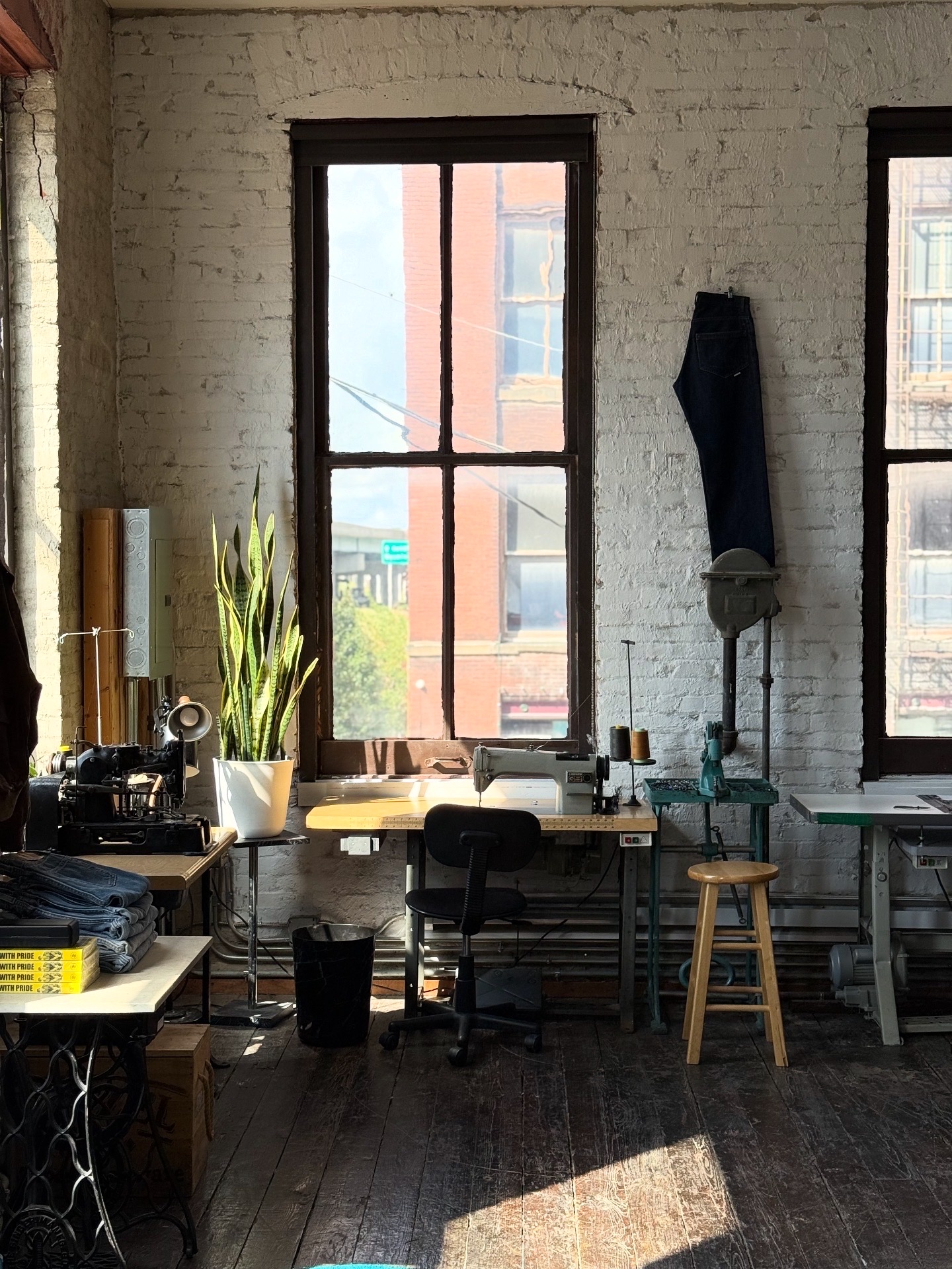 Interior of a room with two large windows, a desk, a chair, a tall plant, and various objects, sunlight on the floor.