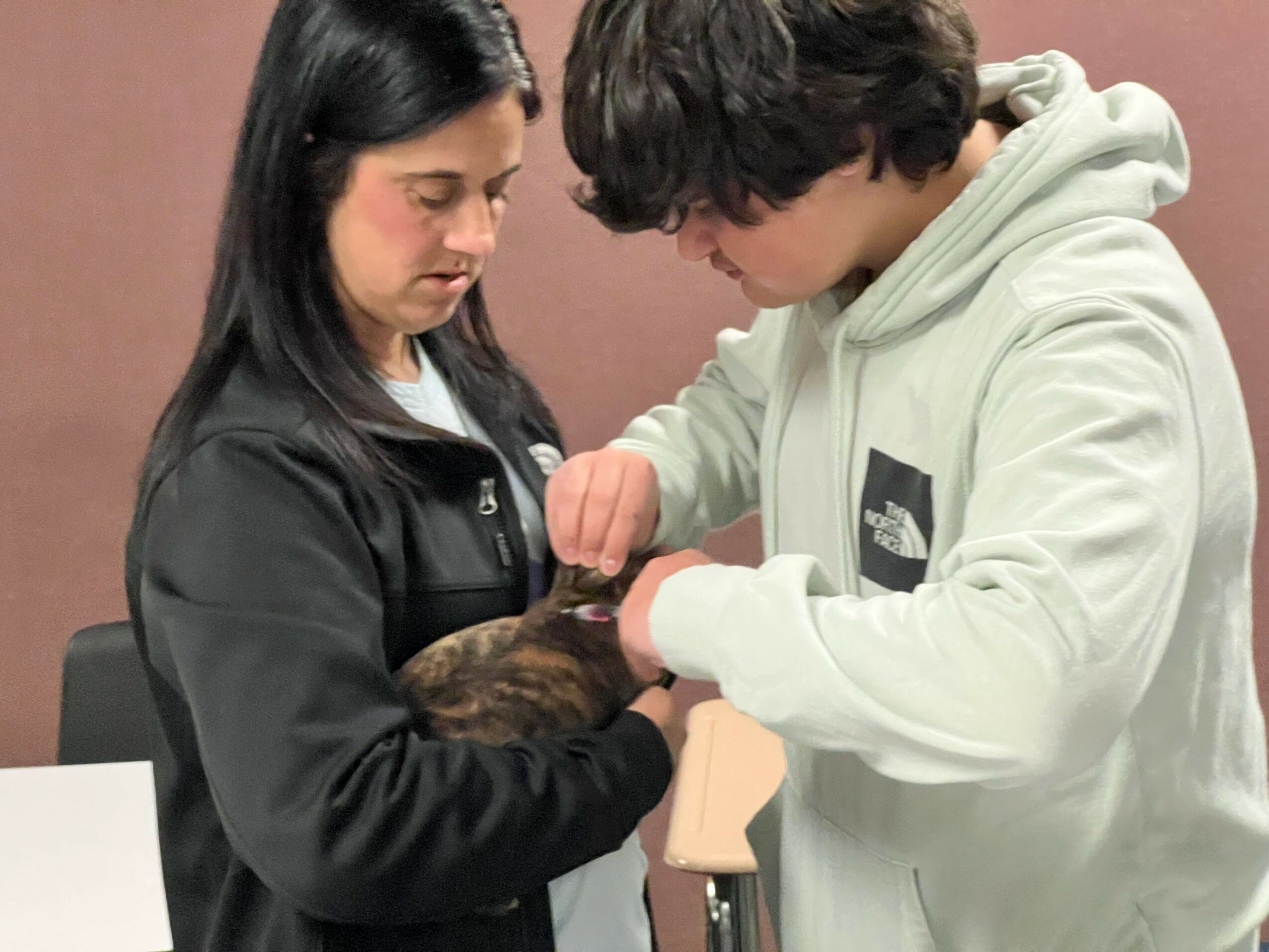 Two people hold a small animal, possibly a cat, indoors with a plain background.