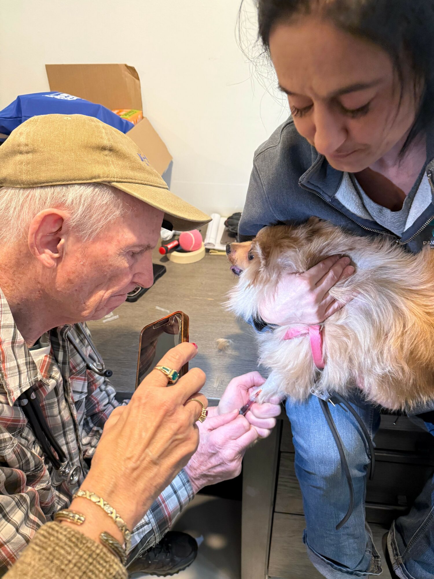 Person holding a small dog near another person's face, with a hand reaching towards the dog, in an indoor setting.
