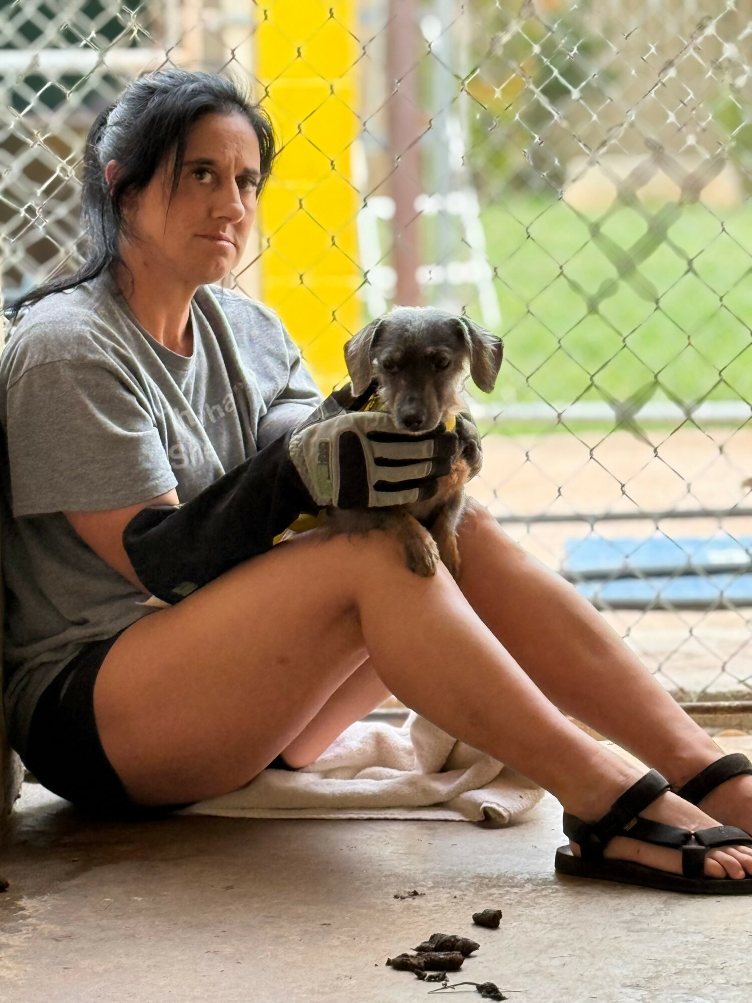 Woman sitting on ground holding a small dog with a striped sweater, near a chain-link fence outdoors.