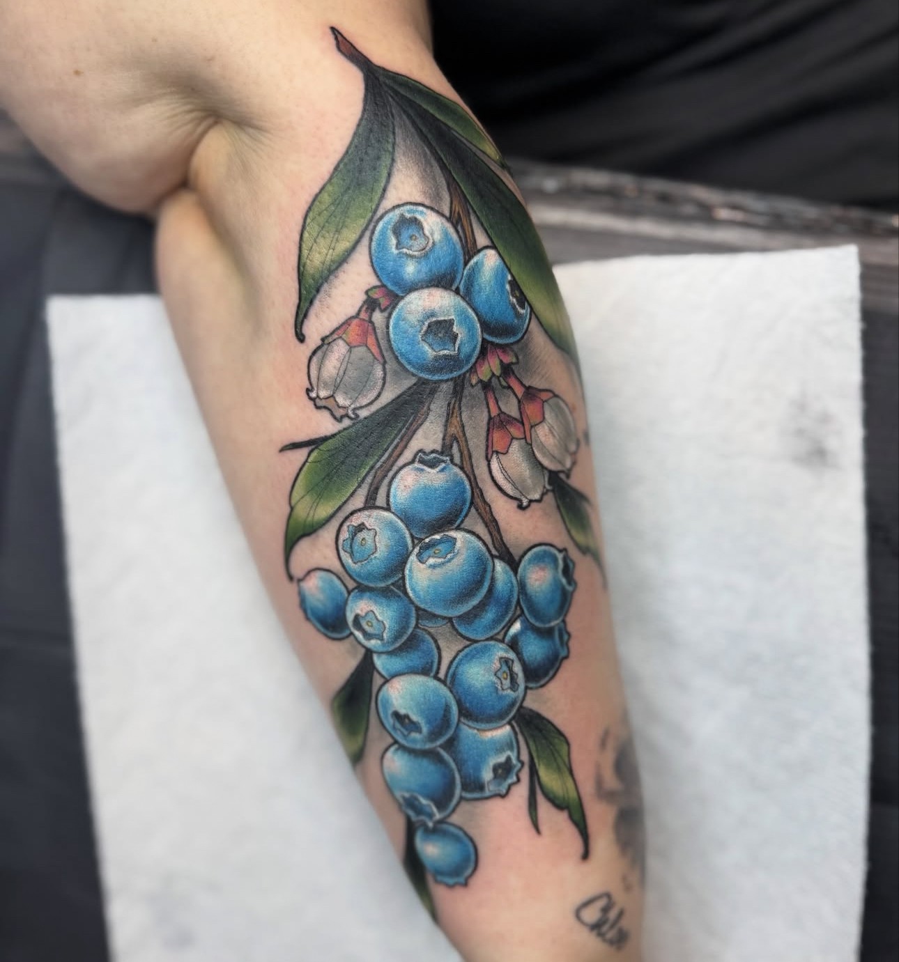 Colorful tattoo of blueberries and leaves on person's arm, with a white background, detailed and vibrant.