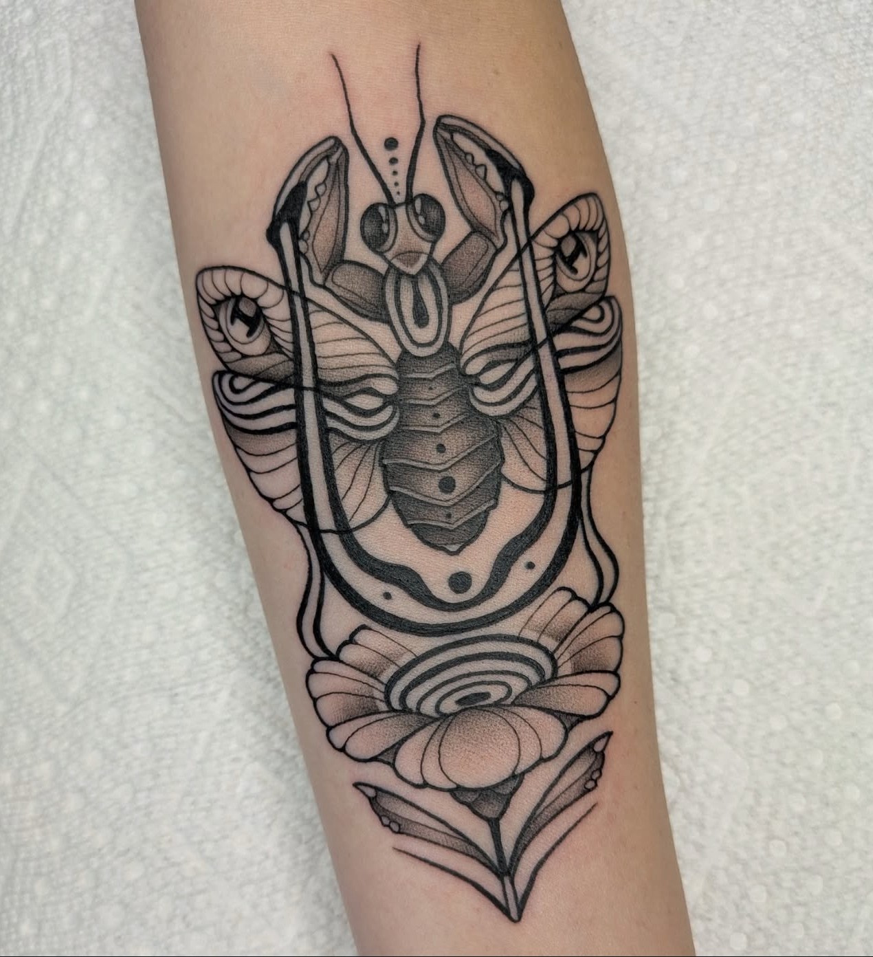 Black line tattoo of a stylized insect with wings, antennae, and a symmetrical floral design below on skin.