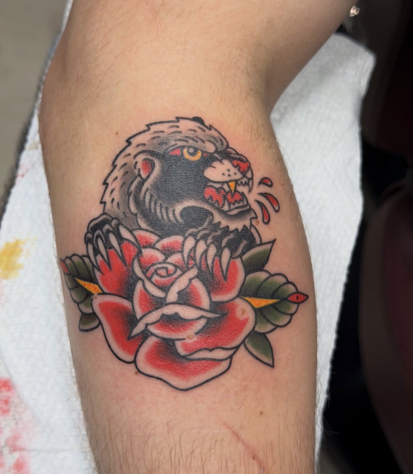 Tattoo of a roaring lion's head above a red and pink rose with green leaves on skin.