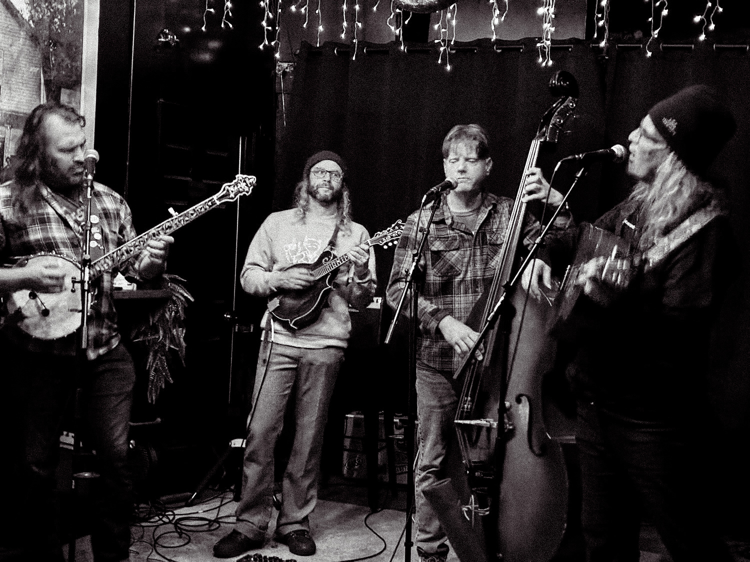Four musicians perform on stage with string instruments, in a setting decorated with string lights, black curtains, and a dark background.
