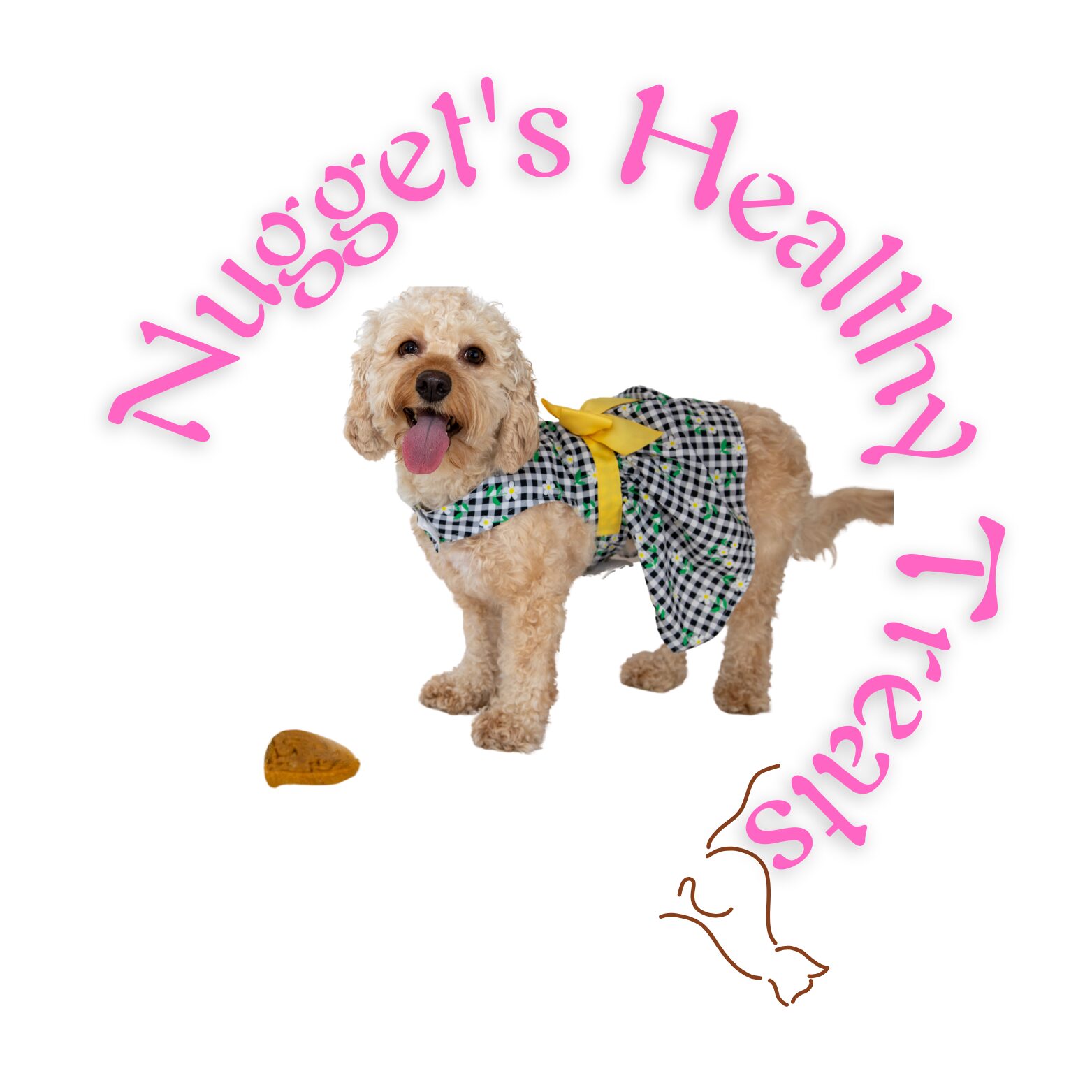 A dog wearing a checkered dress with a yellow bow, standing next to a bone and a small drawing of a dog, with pink text reading 'Nugget's Healthy Treats'.