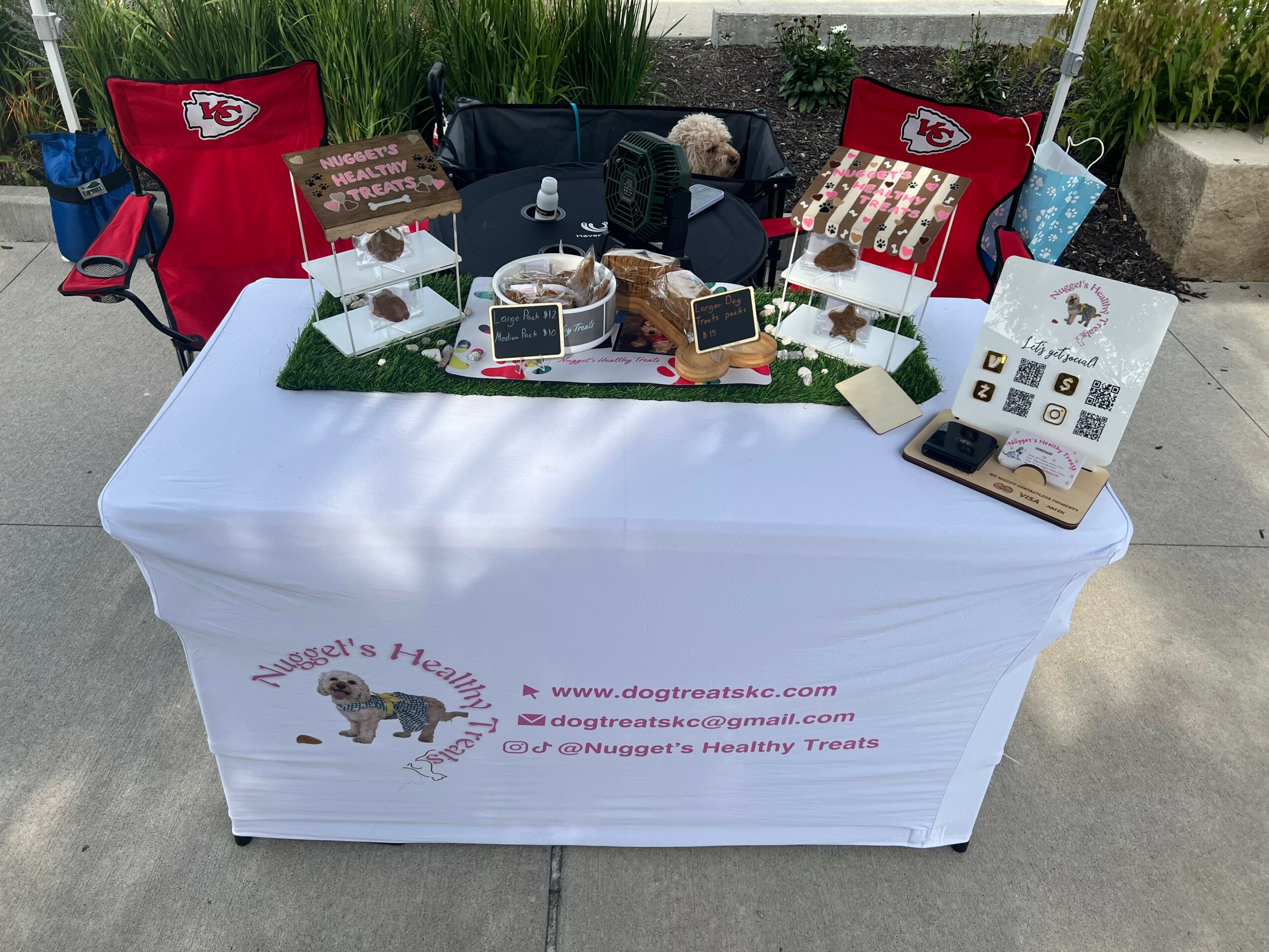 Table with dog treats and promotional materials, two red chairs, and a person with a dog outdoors.