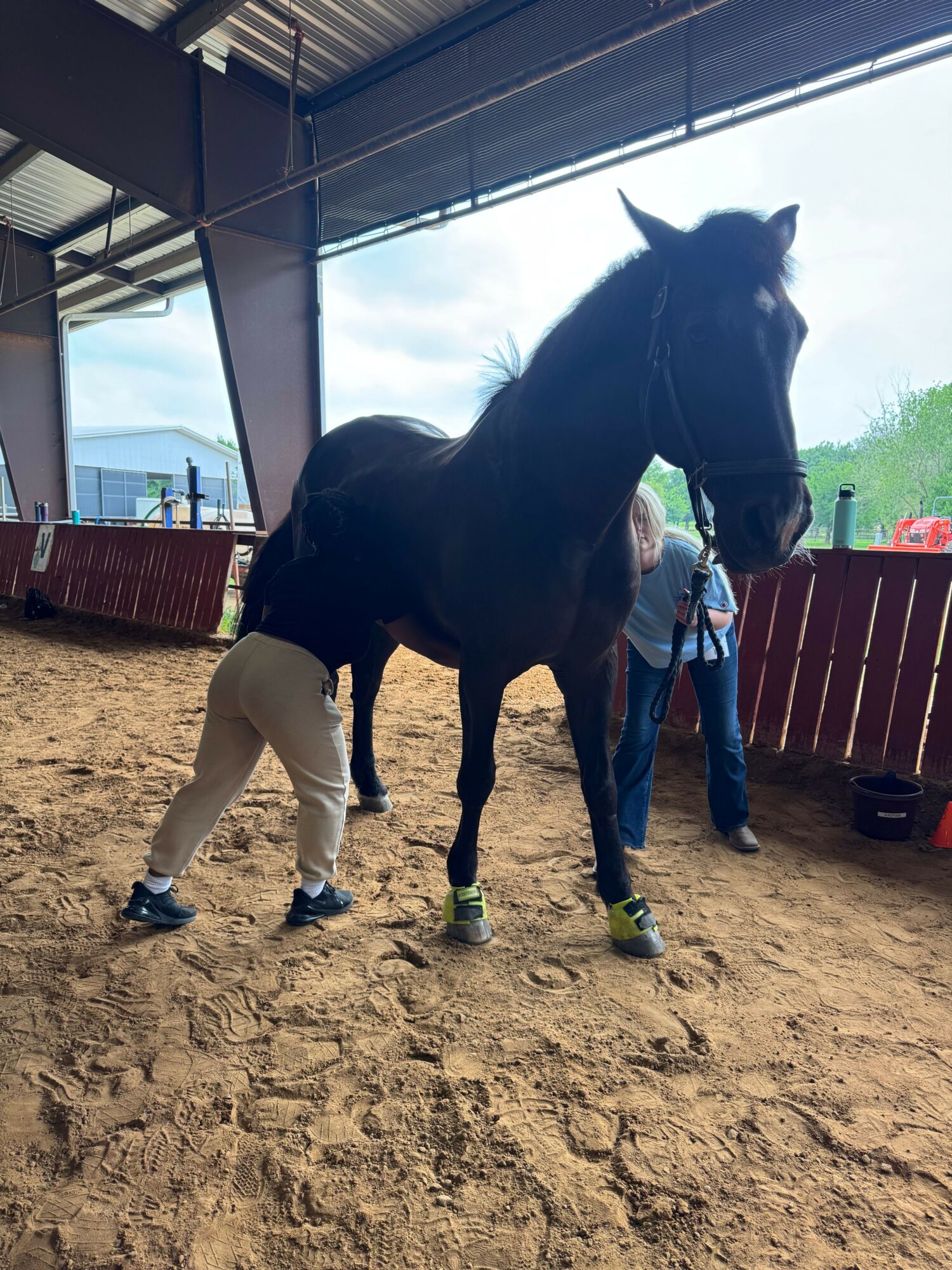 Person leading a black horse in an indoor riding arena with sandy ground and a red fence, under a roof with open sides.