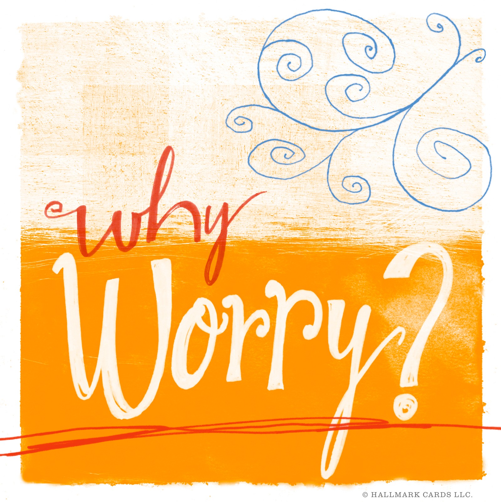Text reads 'why worry?' with decorative swirls and an orange background, in a mixed font style.
