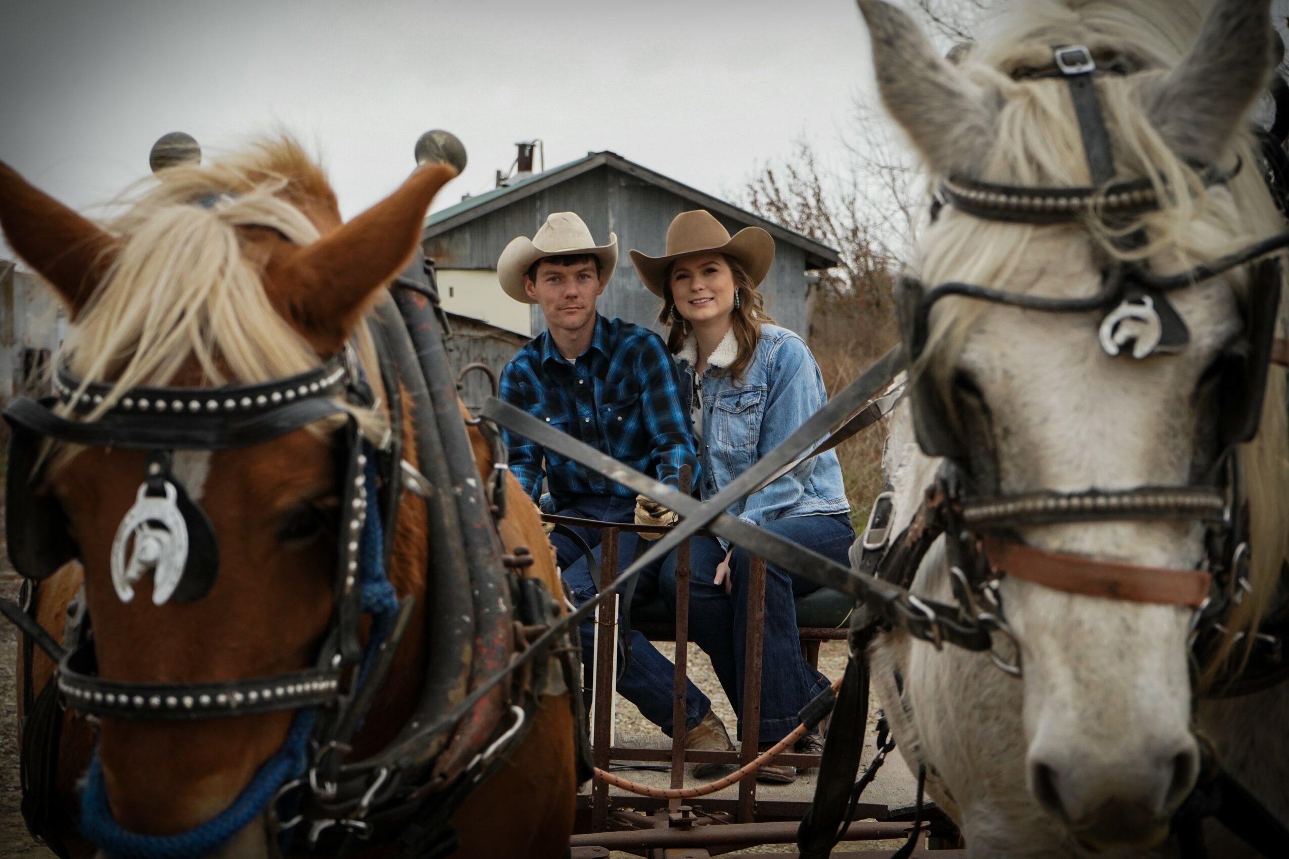 Two people sit on a horse-drawn carriage, surrounded by two horses, outdoors with a house and trees in the background.