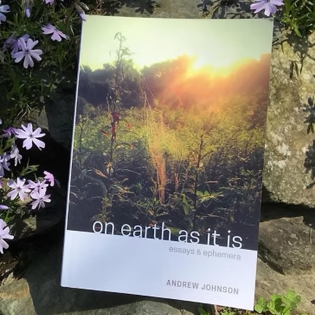 Book cover with a forest scene and sunlight, titled 'on earth as it is' by Andrew Johnson, with flowers and rocks nearby.