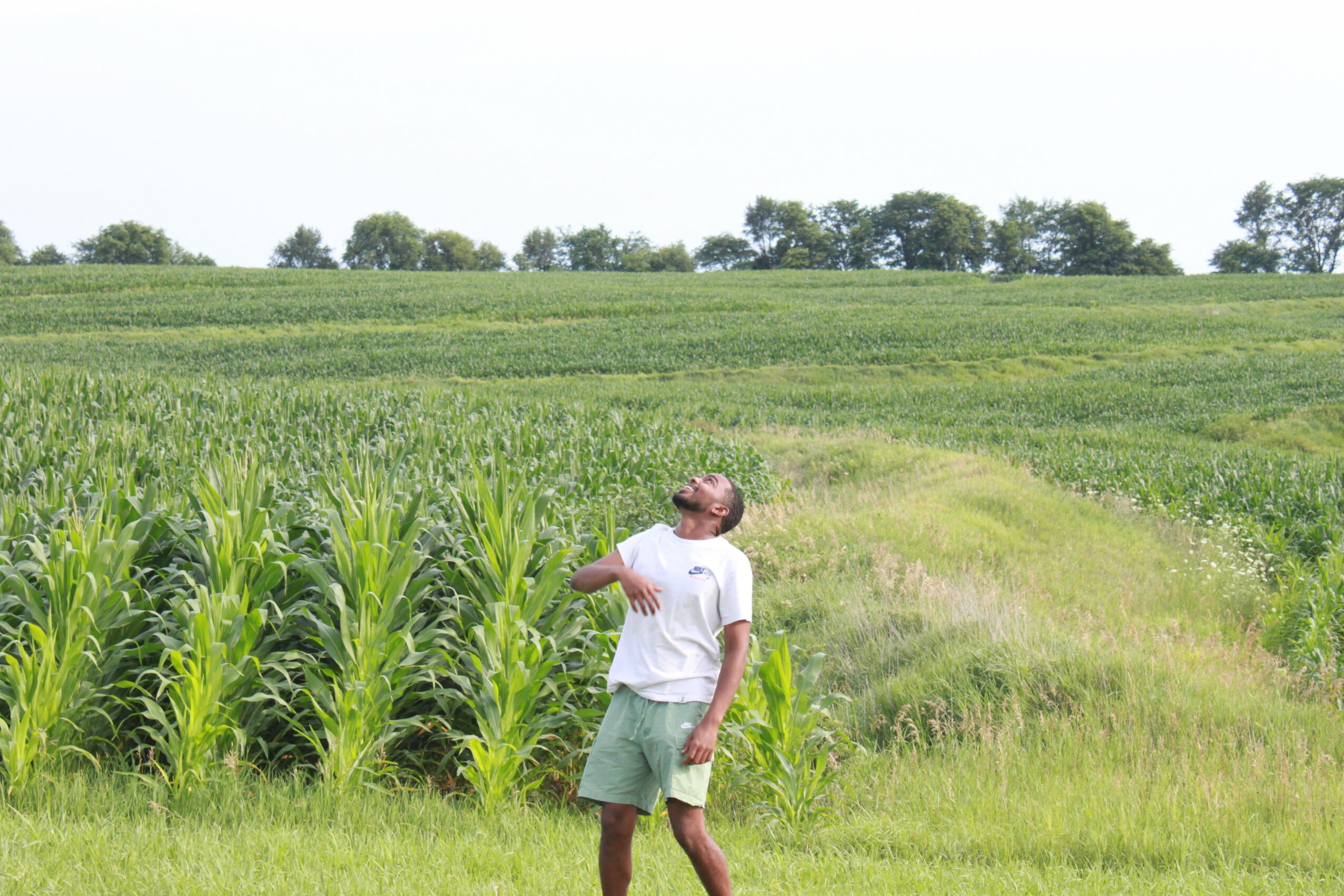 Person standing in a grassy field near tall green crops under a clear sky.