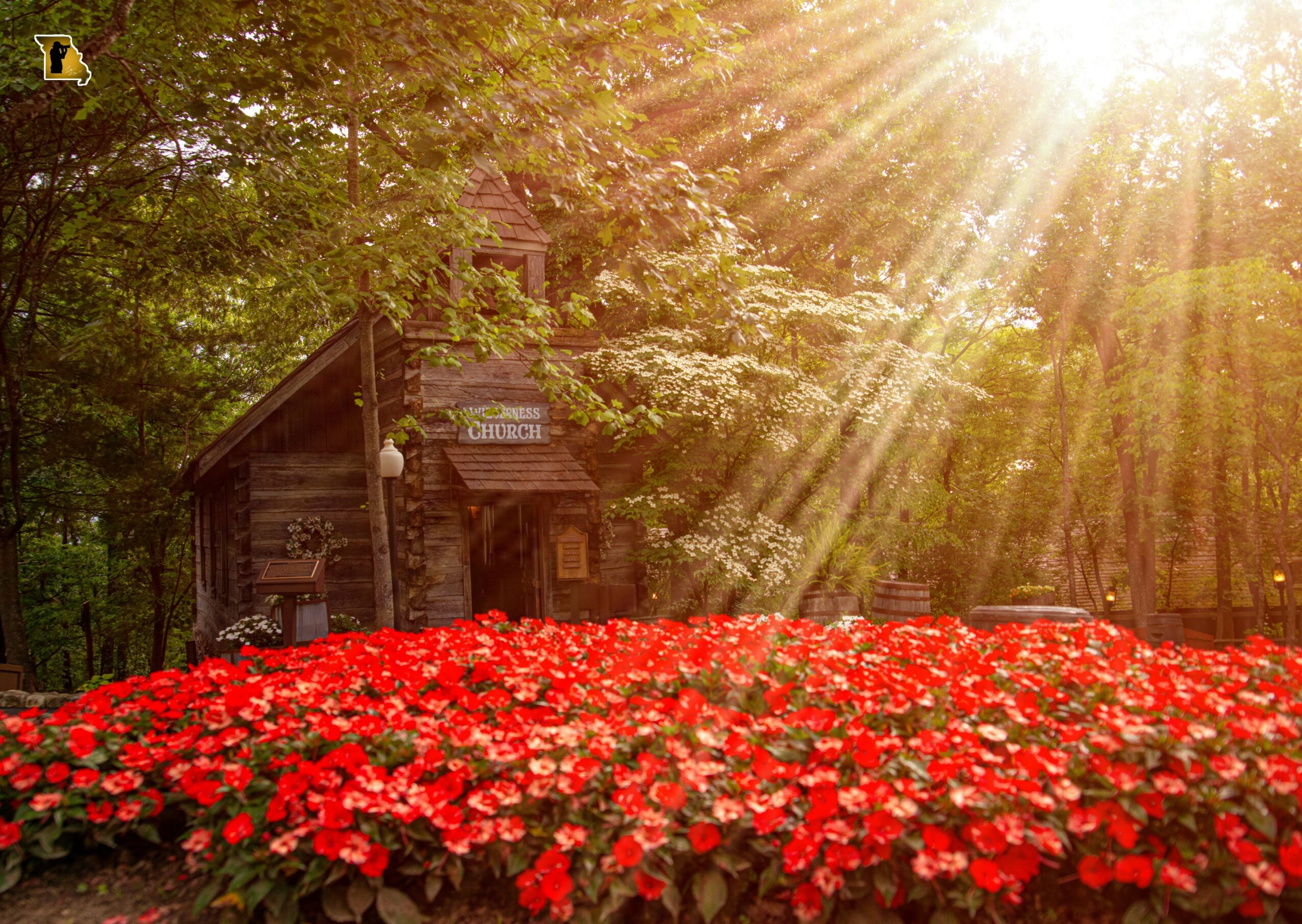 Sunlight rays shine over a wooden house surrounded by trees and a large bed of red flowers.