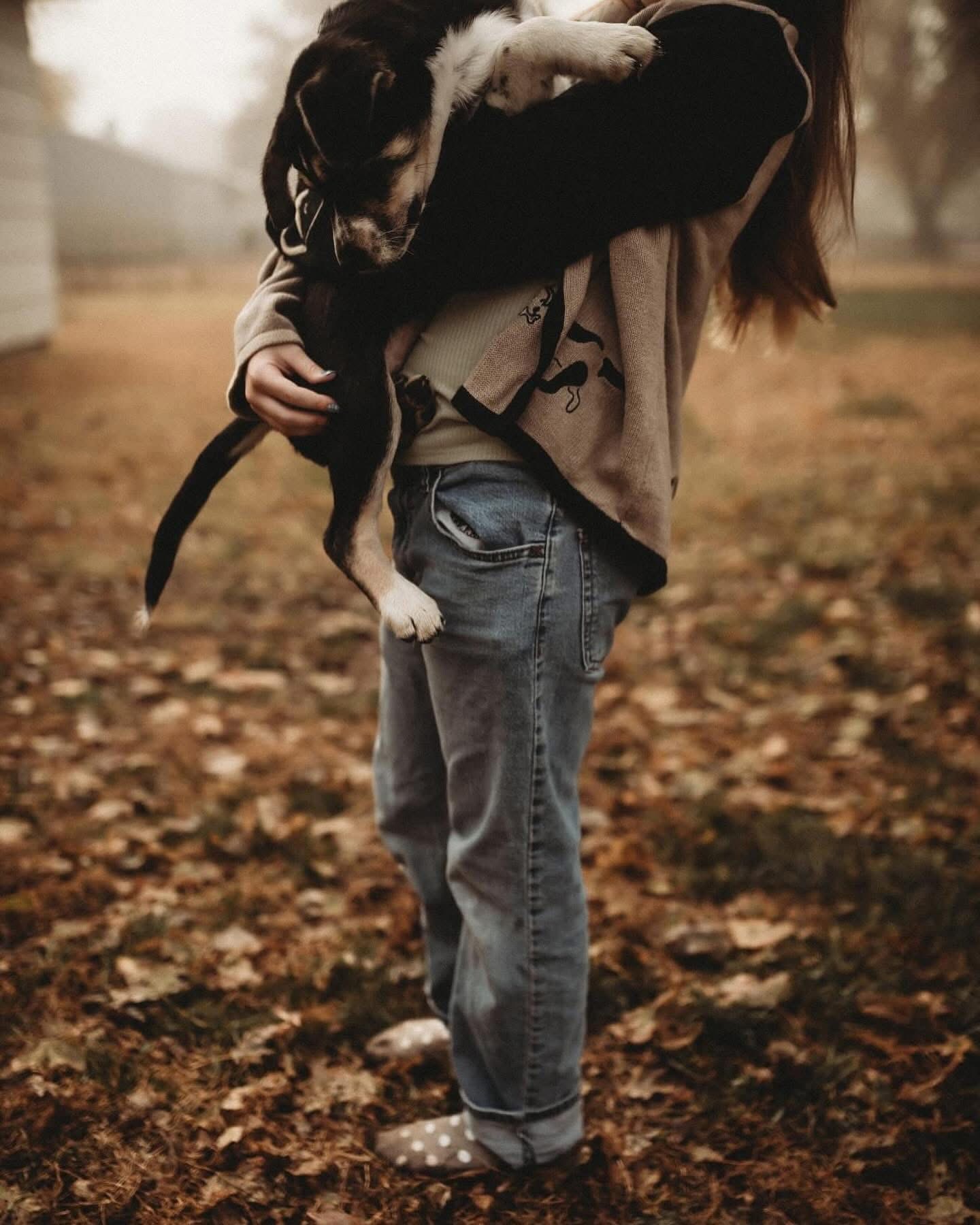 Person holding a black and white dog outdoors on a fall day, with leaves on the ground and trees in the background.