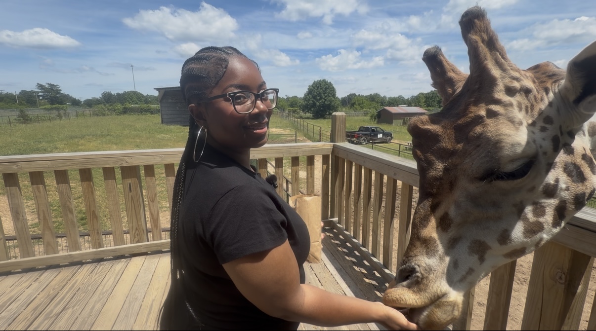 A woman with glasses and braided hair interacts with a giraffe on a wooden deck outdoors.