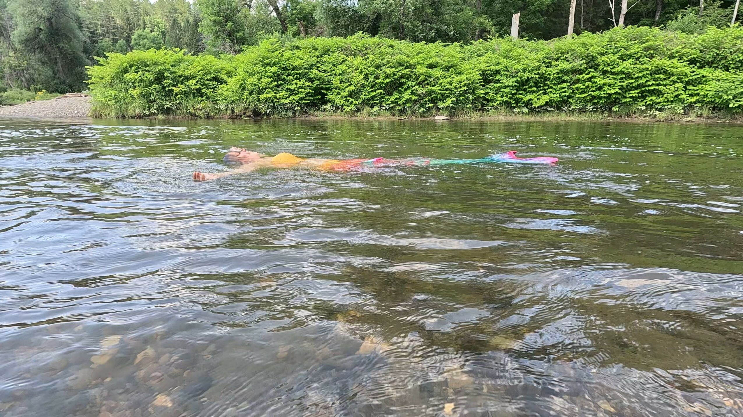Person swimming in a river with green bushes and trees in the background.
