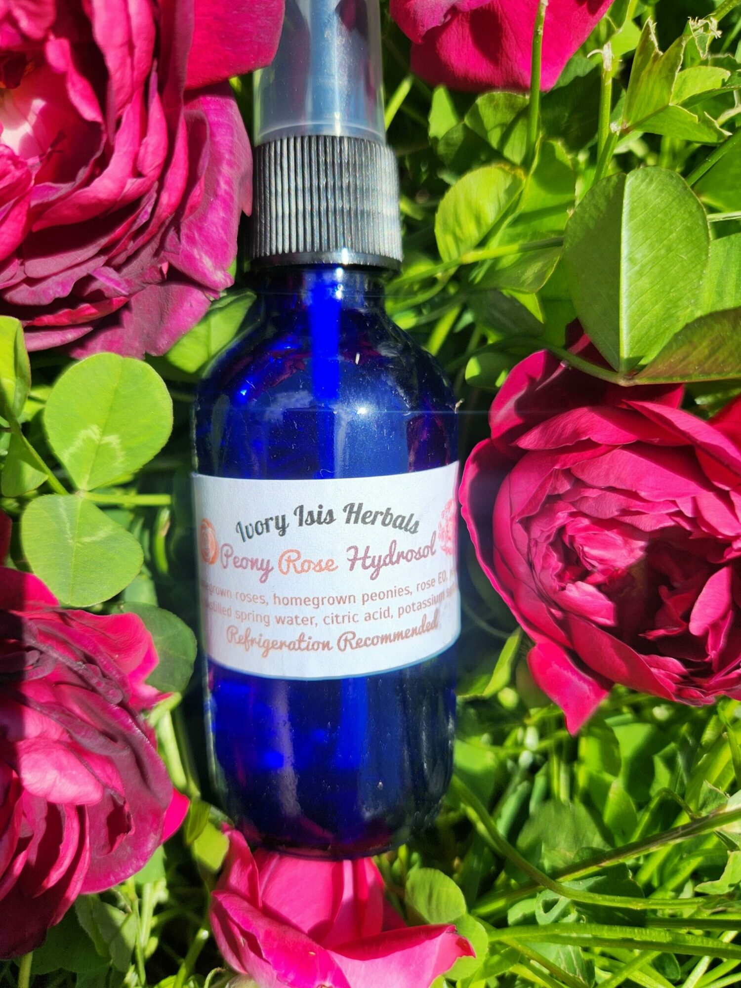 Blue spray bottle lying among pink roses and green leaves in a garden.