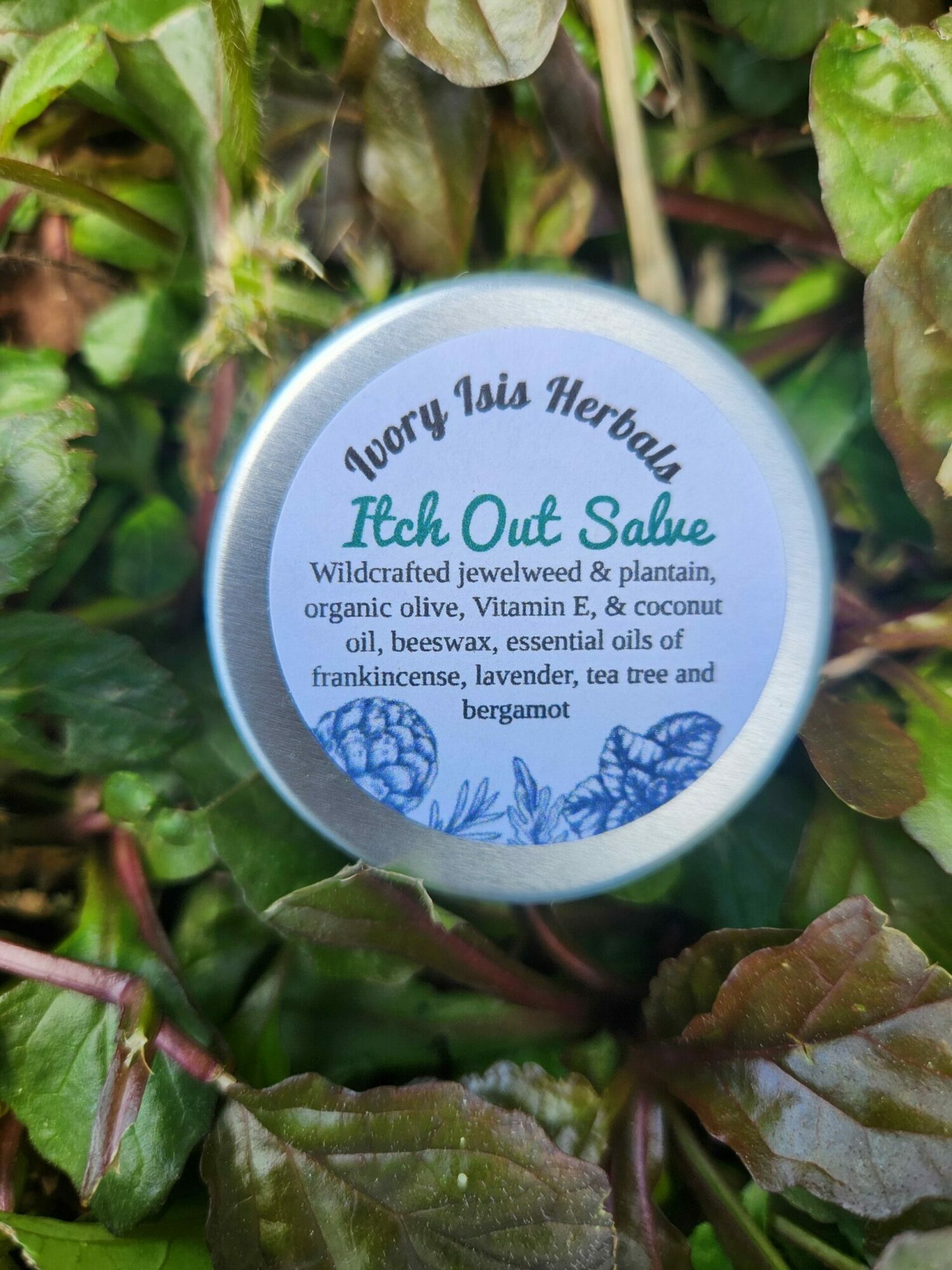 A round container lid with blue and white design, surrounded by green and brown leaves.
