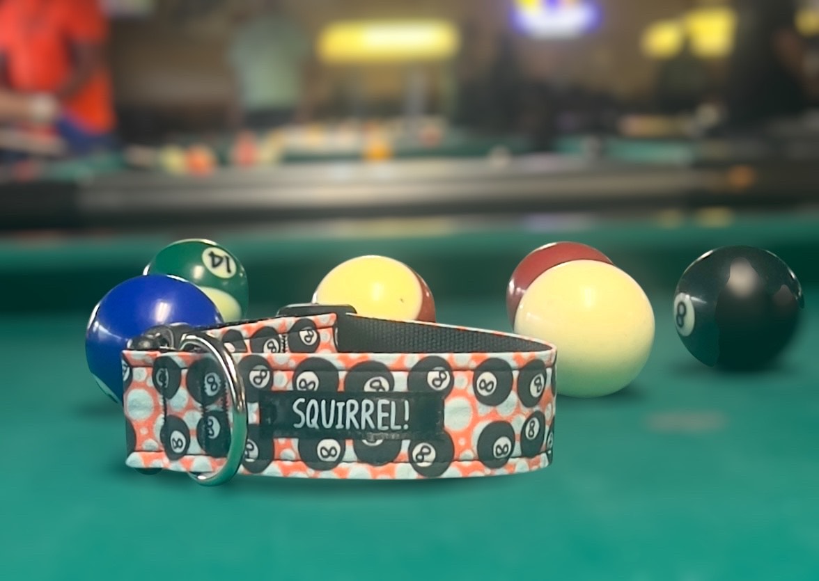 Pool table with balls and a SQUIRREL-themed collar or band in front, colorful balls scattered around.