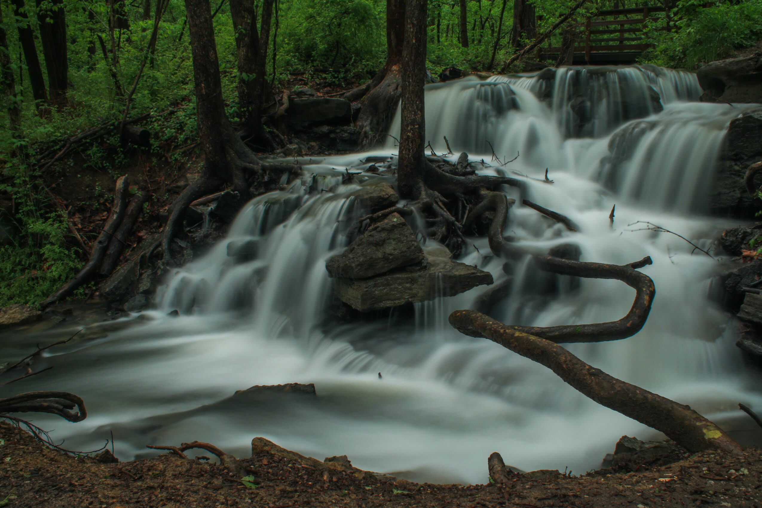 Flowing waterfall over rocks and fallen branches in a green forest, long exposure effect, lush trees in background.