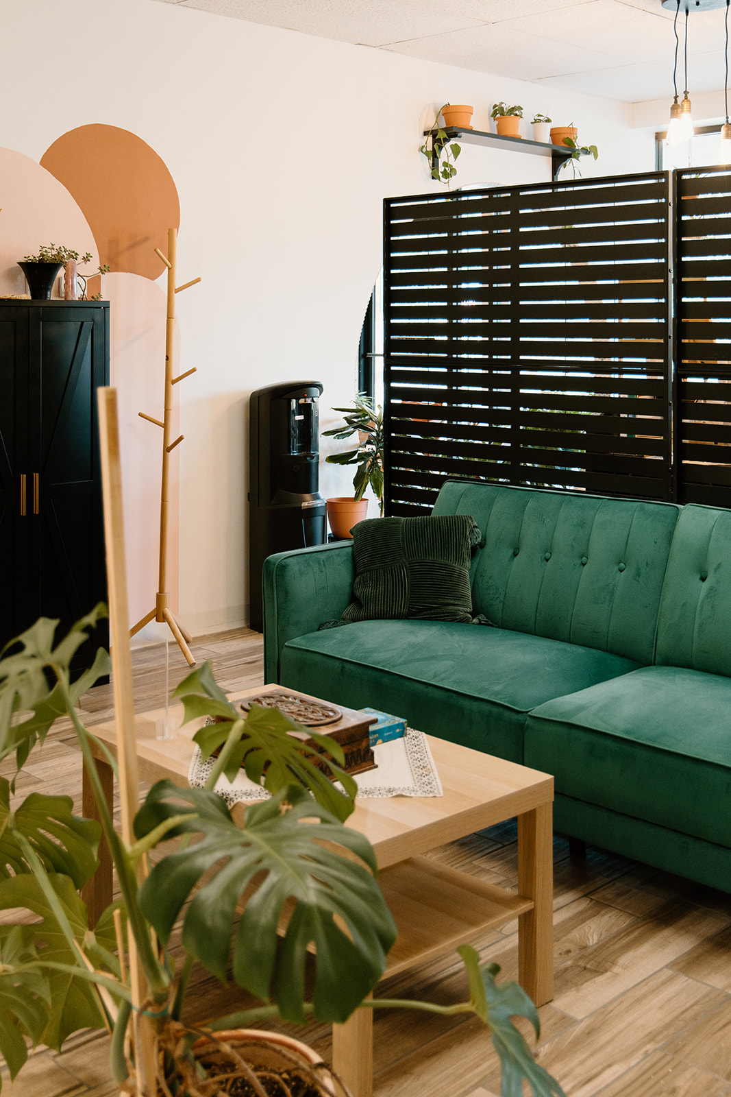Living room with green sofa, wooden coffee table, plants, and a black room divider, decorated with shelves and plants.