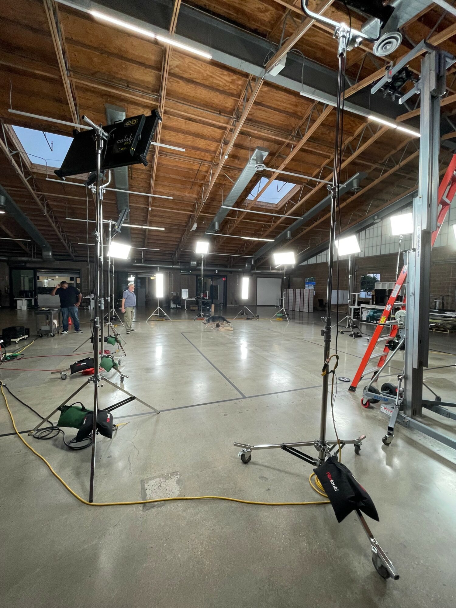 Empty studio with lighting and equipment, high wooden ceiling, and large windows, ready for filming or photography.