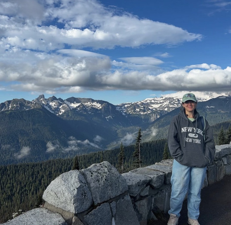 Person standing on a stone wall with mountain range and sky in background.