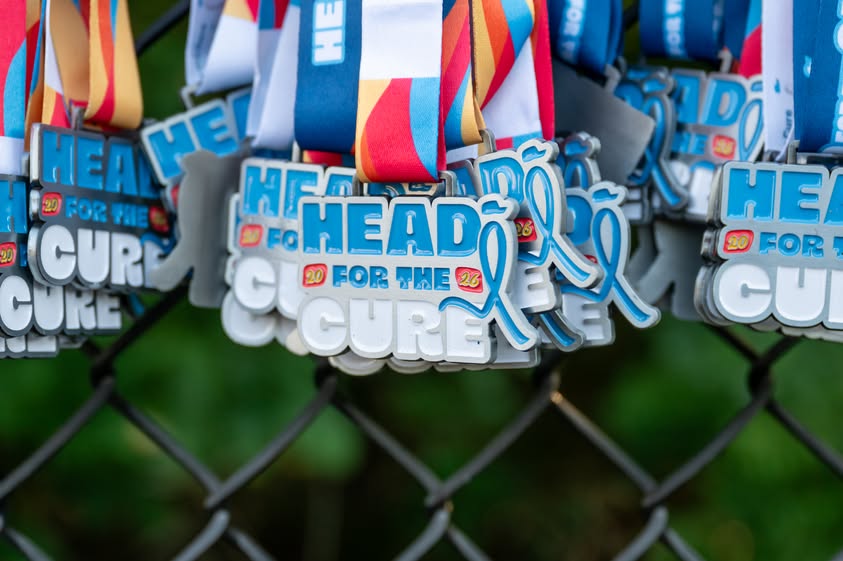 Multiple medals with ribbons hanging on a chain-link fence, with a blurred green background.