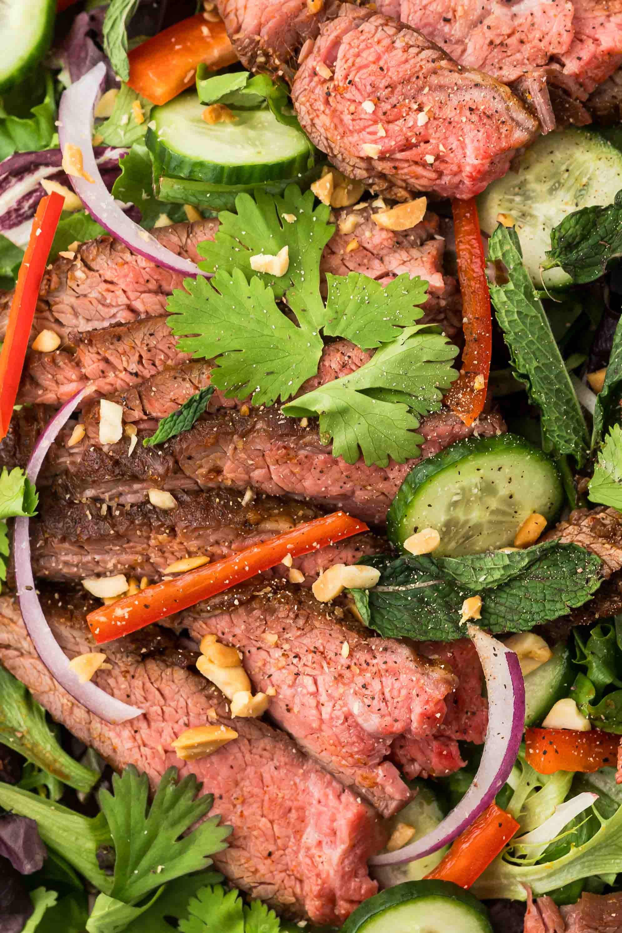 Close-up of sliced cooked steak with cucumber, red onion, carrot, and cilantro on a salad.