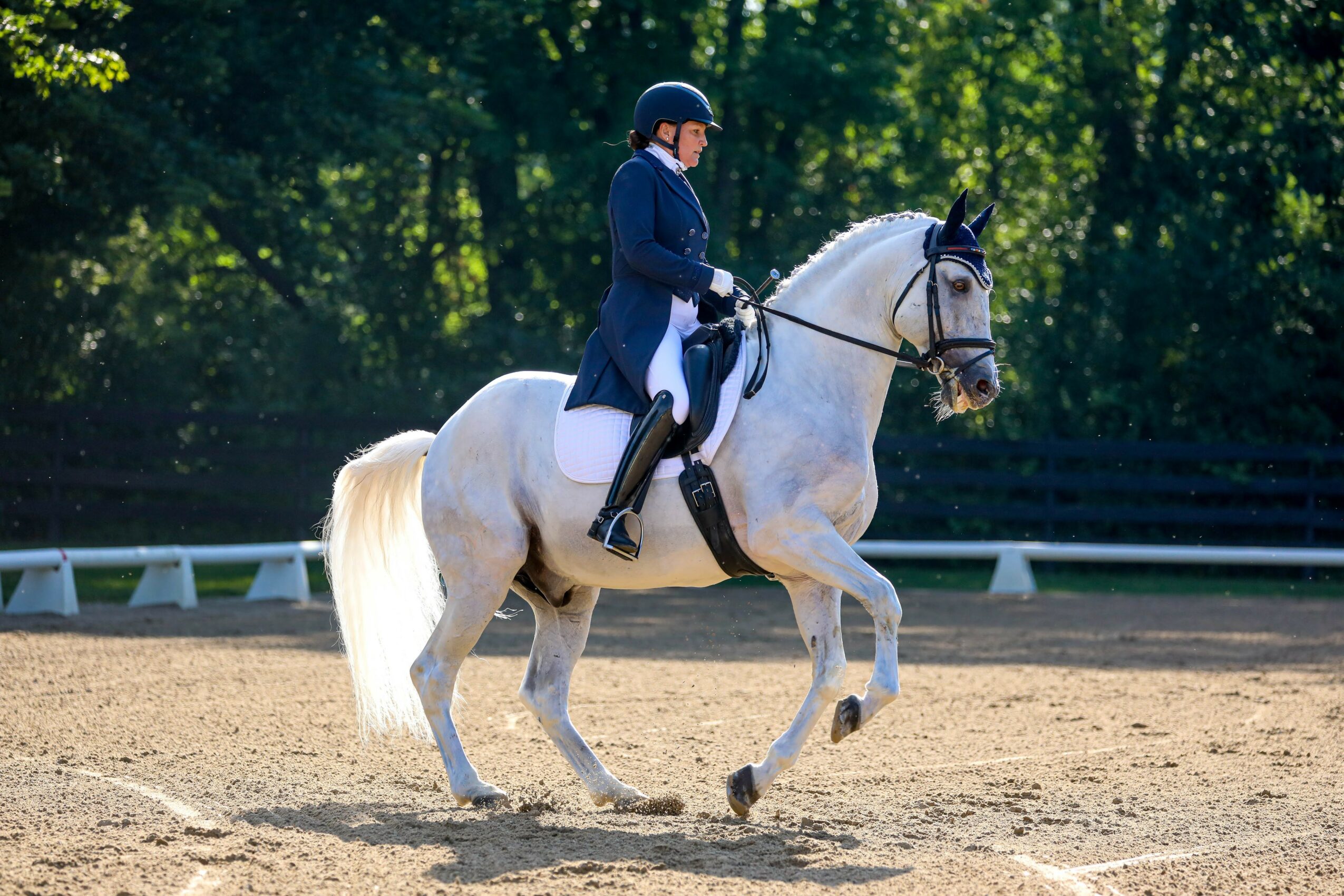 Person riding a white horse in an outdoor arena with trees in the background.
