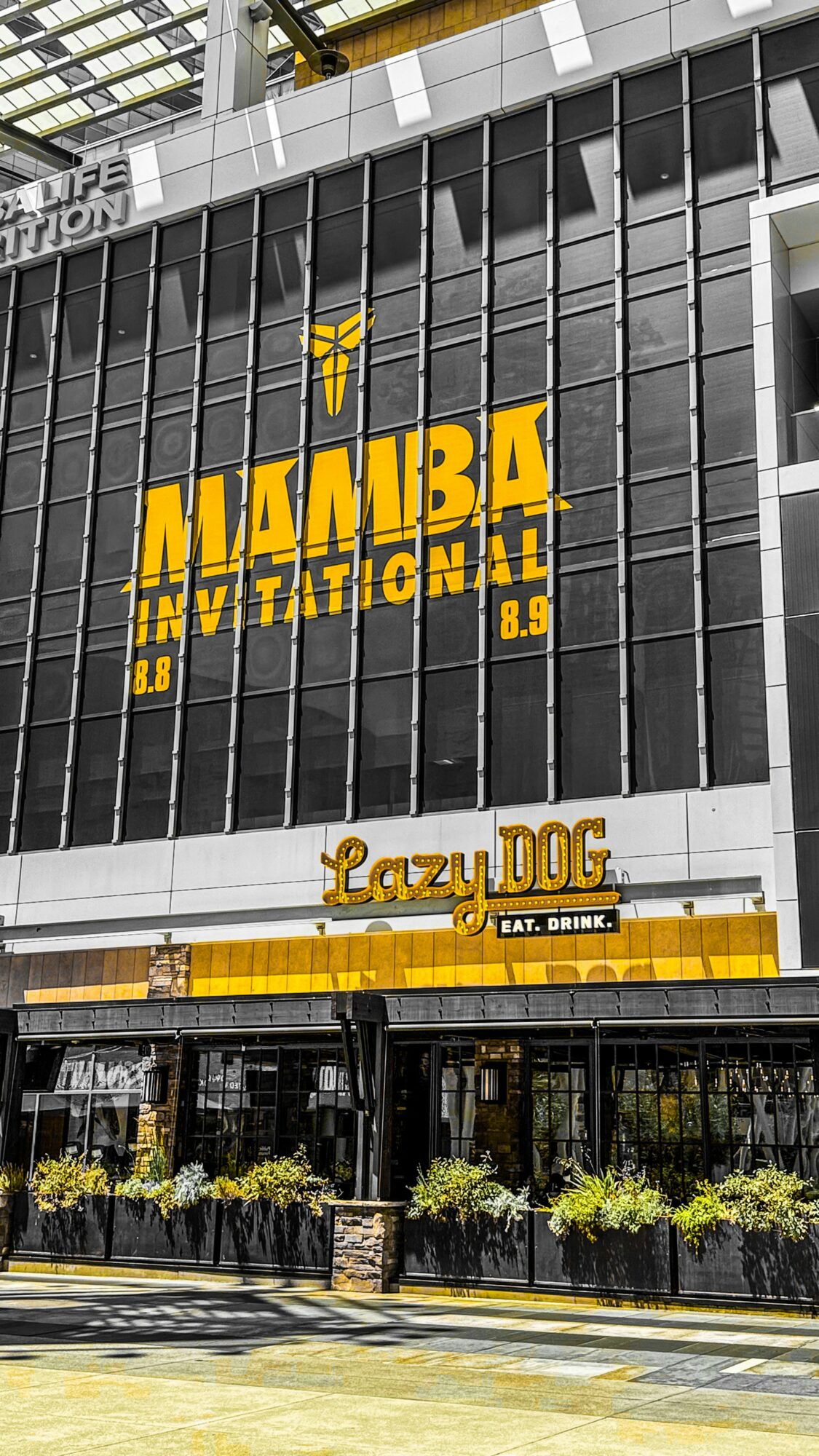 Building with large yellow sign reading 'MAMBA NATION' and a smaller sign for 'Lazy DOG' restaurant below, with plants outside.