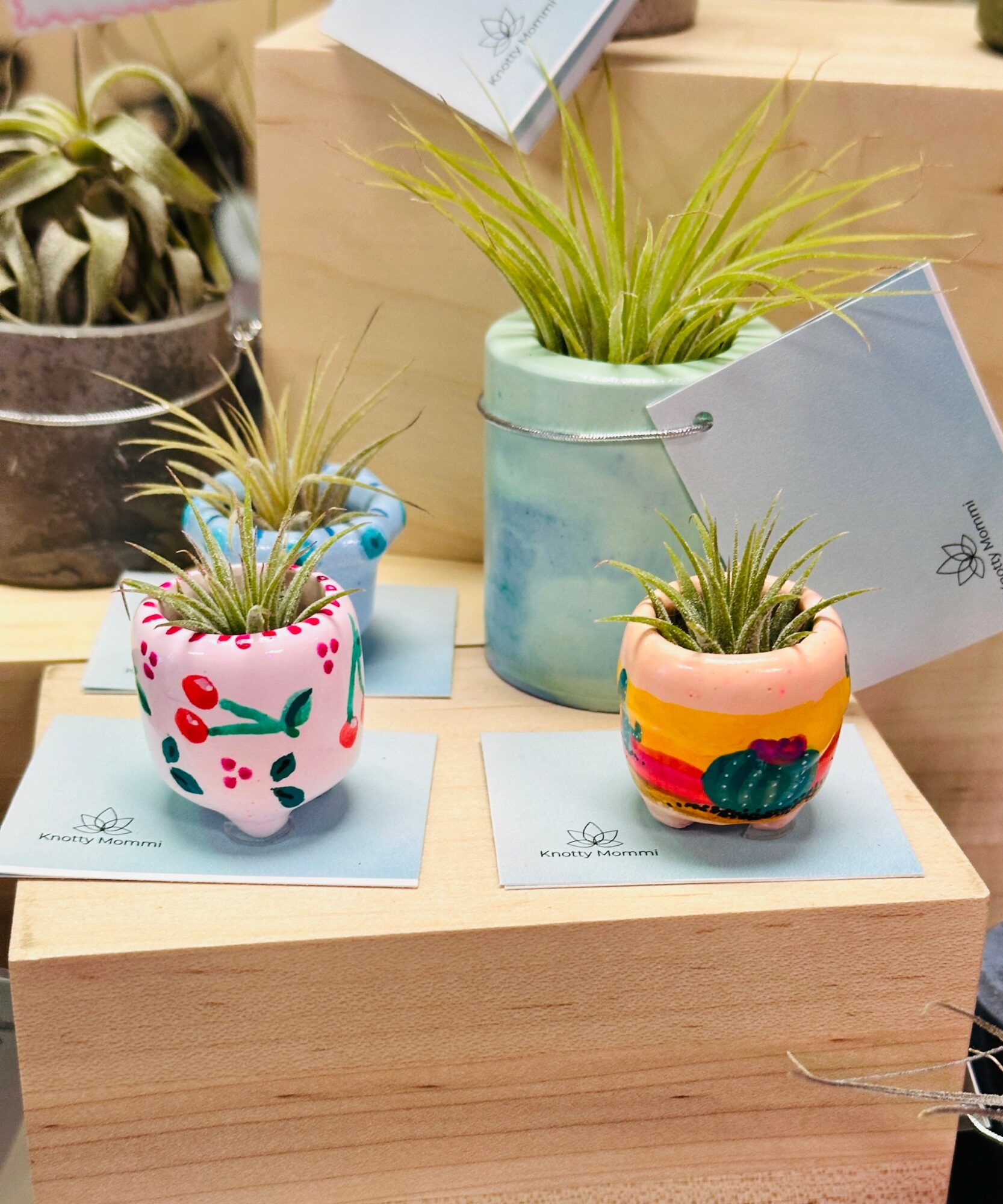 Three small potted plants with spiky green leaves on wooden display, each in colorful decorated pots, with tags attached.