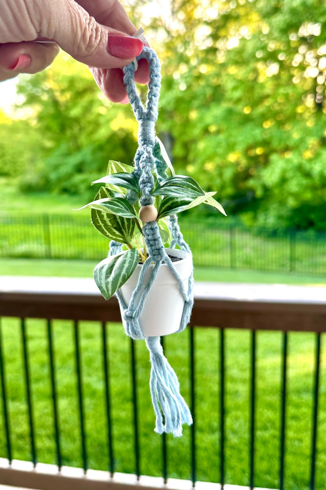 Hand holding a hanging plant with green and white leaves, outdoors with a green background and a wooden railing.