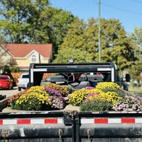 Truck bed filled with colorful flowers, trees and houses in background, clear blue sky.