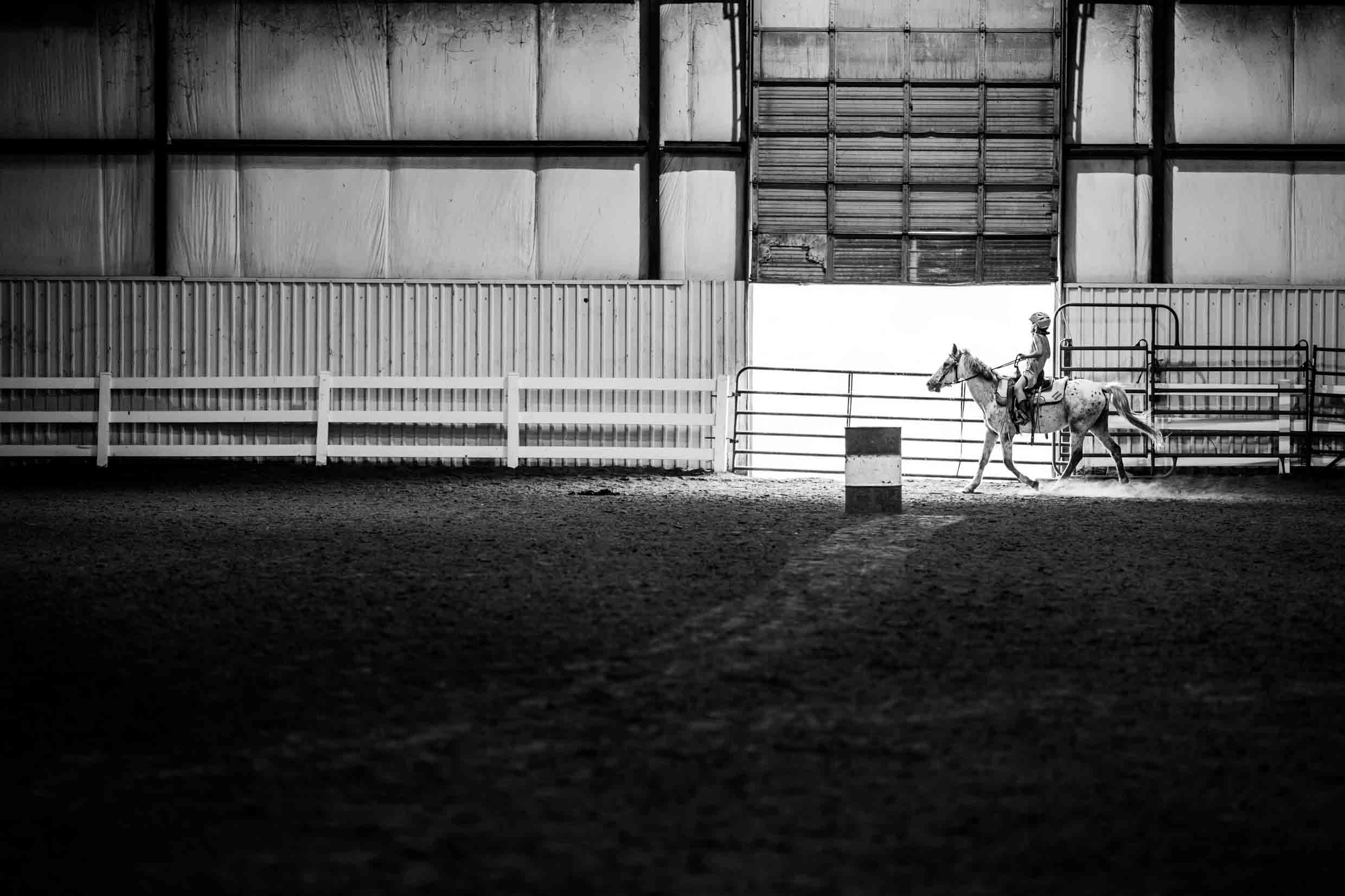 Horse and carriage inside an indoor arena with benches and a large door, in black and white.