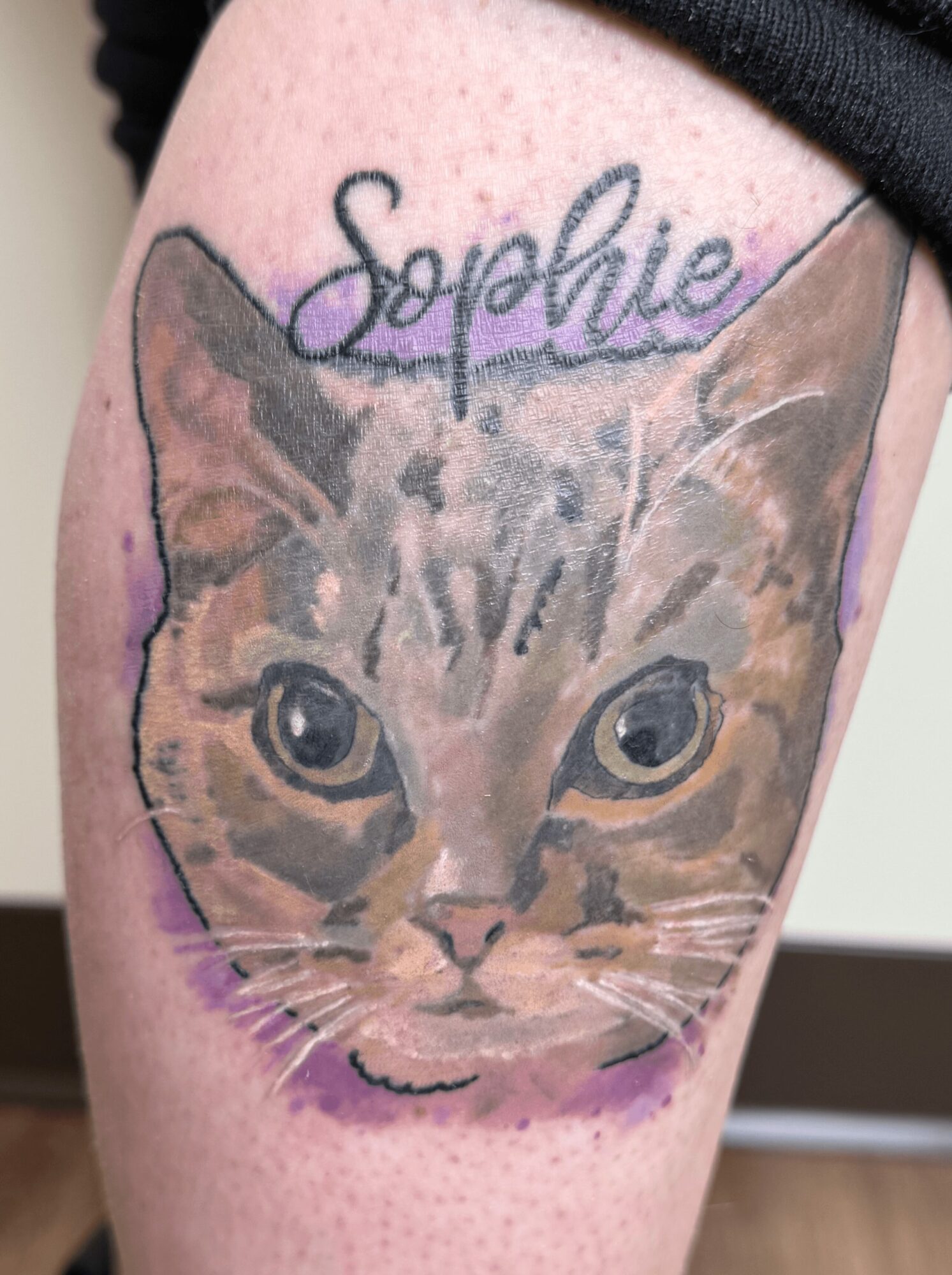 Tattoo of a cat's face with the name Sophie above it, in purple script, on a person's arm.
