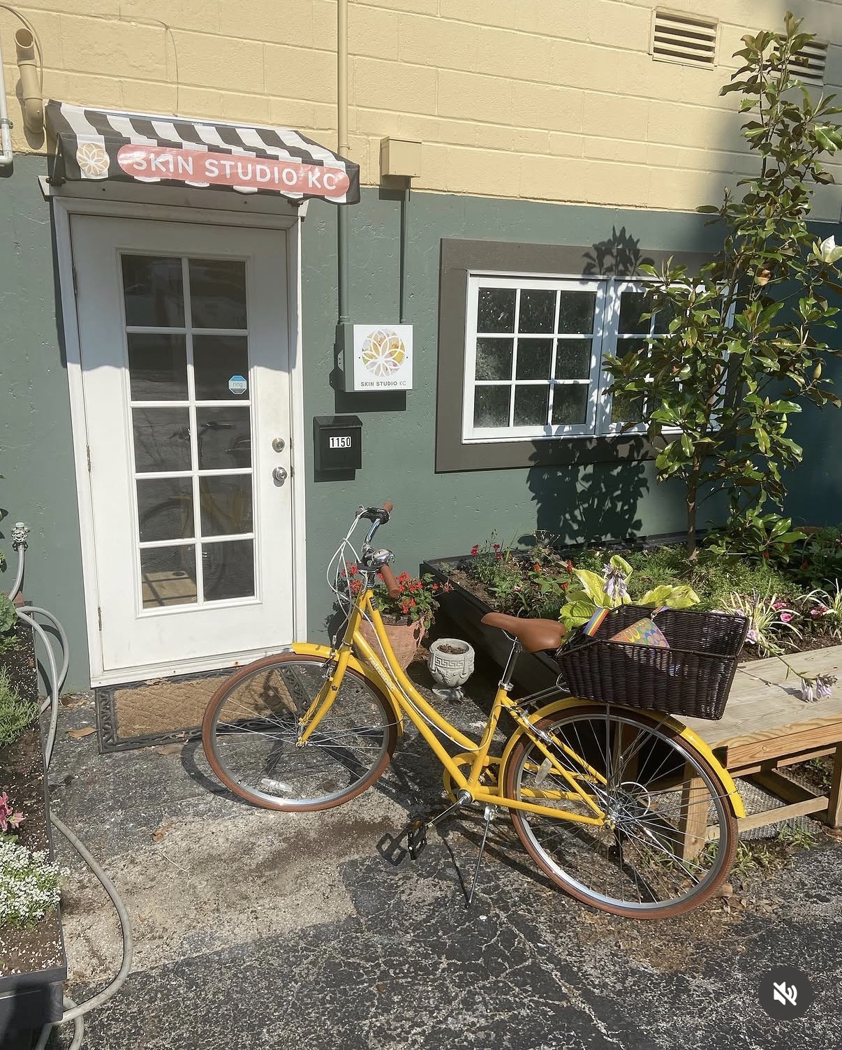 Yellow bicycle with a basket parked outside a building with a door and window, surrounded by plants and a bench.