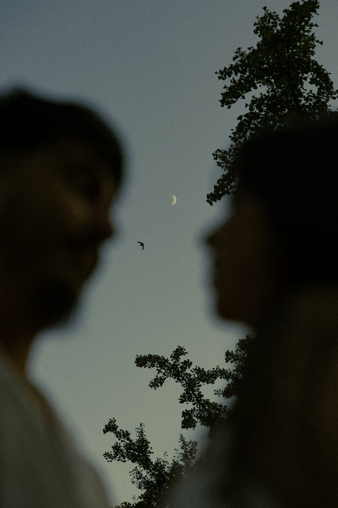 Two people face each other outdoors with trees and a crescent moon in the sky behind them.