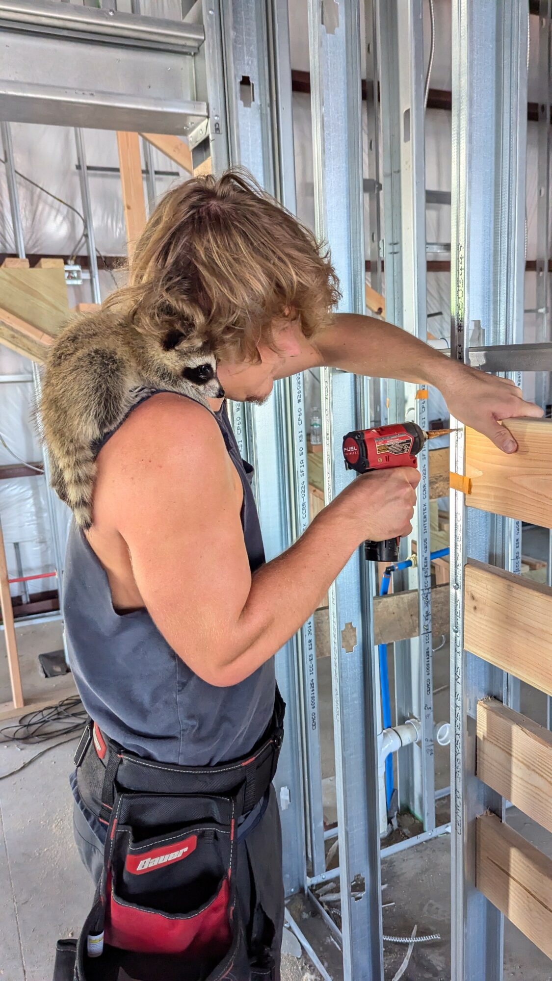Person using a power drill on a wooden frame with a small animal on their shoulder, in a construction setting.