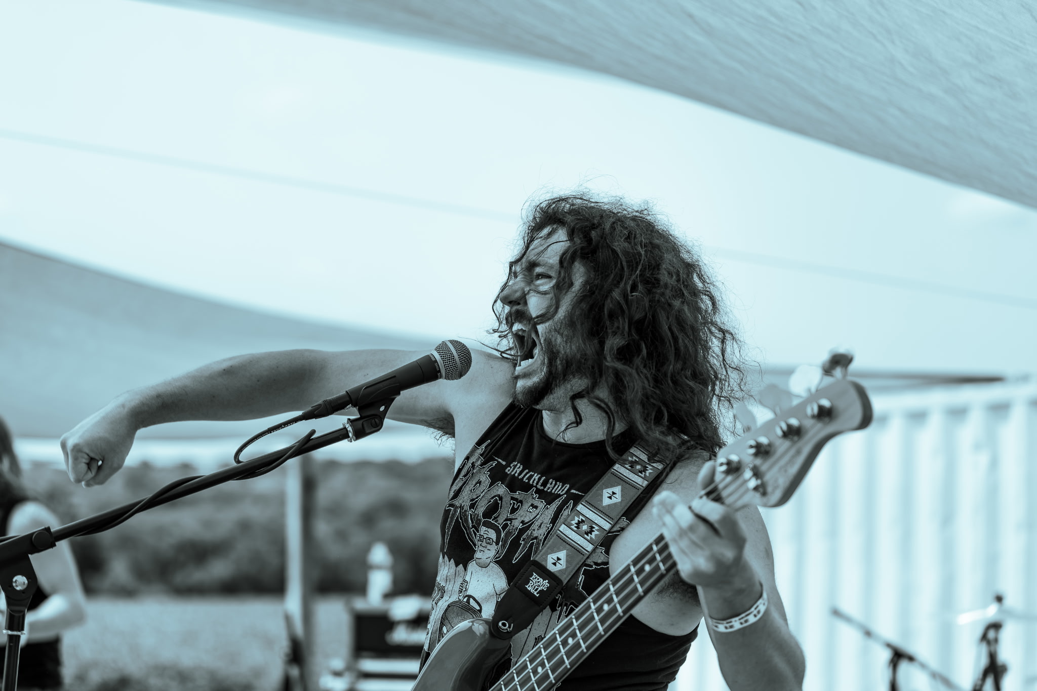 A woman with curly hair singing into a microphone and playing a guitar on stage.