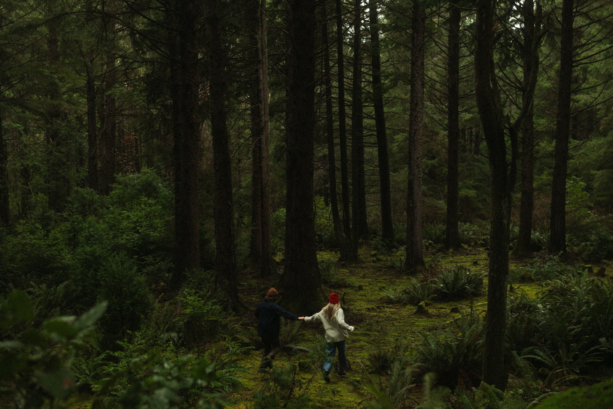 Two children walking in a dense forest with tall trees and green foliage.