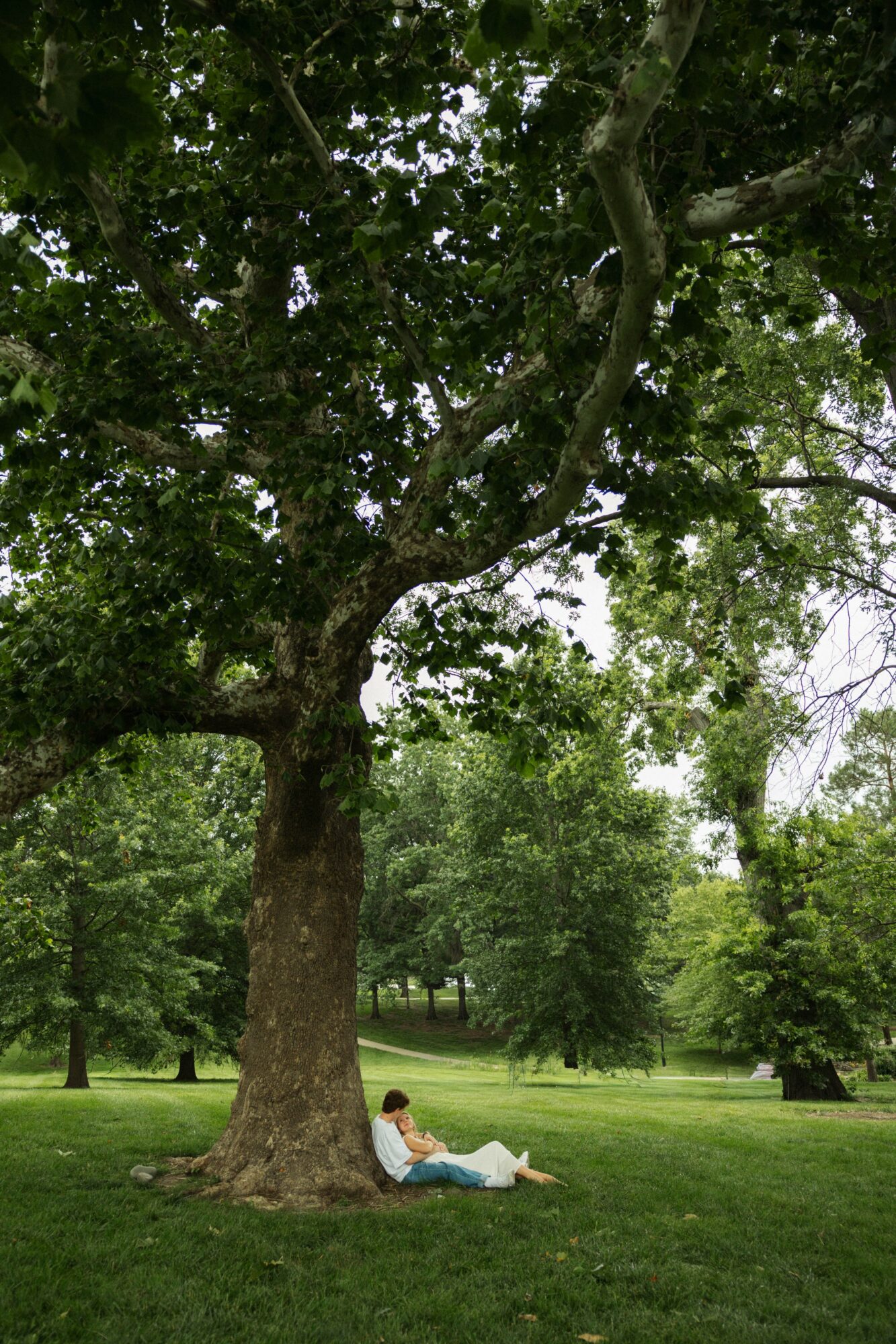 Person sitting under a large tree in a park with green grass and other trees in the background.