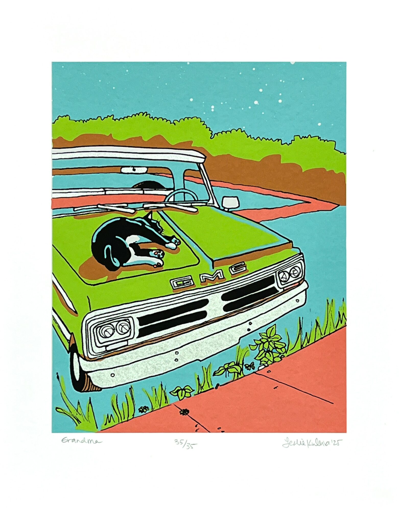 A green vintage car with a black and white cat lying on the hood, parked near a body of water with trees in background.