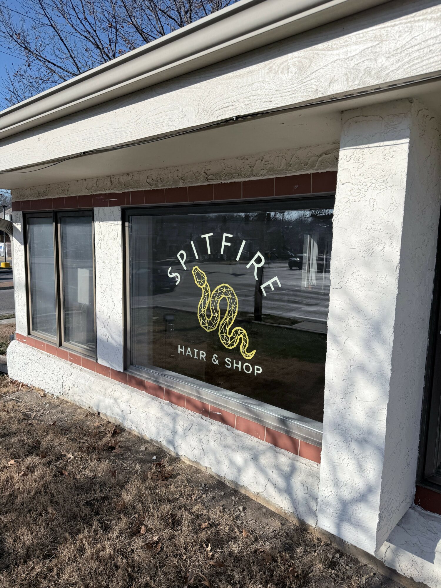 Storefront window with a snake logo and text 'SNAKE HAIR & SHOP' on glass, white exterior wall, and sidewalk.