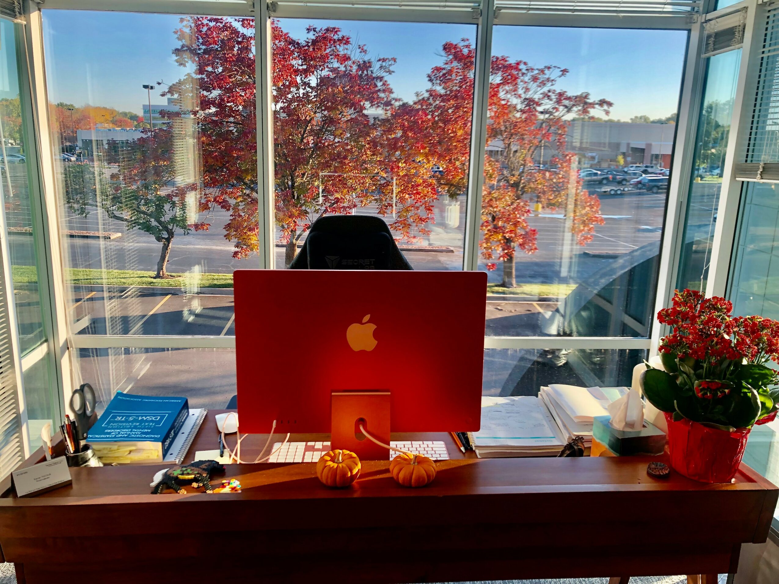 Office desk with a red Apple computer, books, and a potted plant, overlooking trees with red leaves outside window.