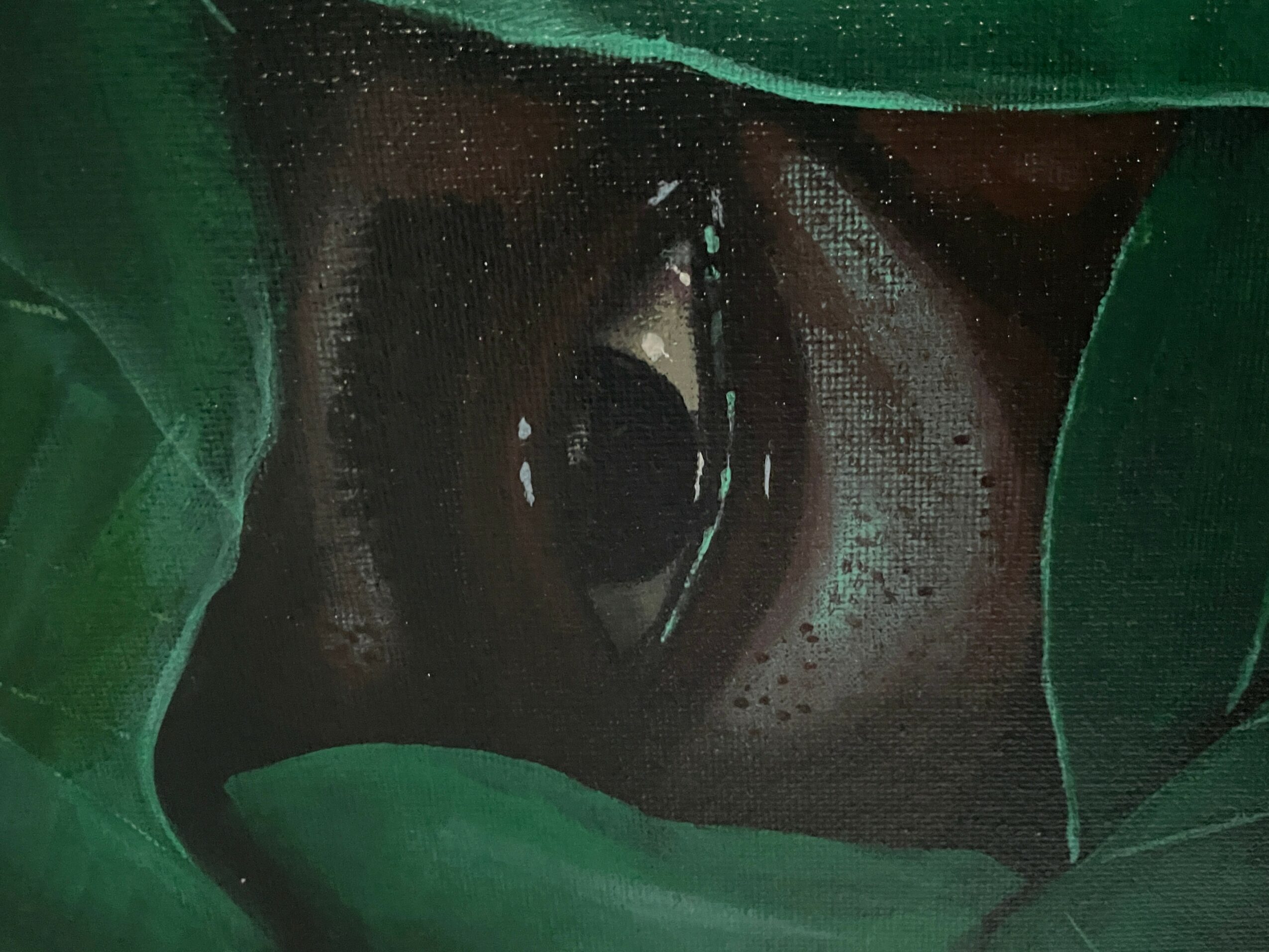 Close-up of a human eye surrounded by green leaves, with visible eyelashes and skin texture.