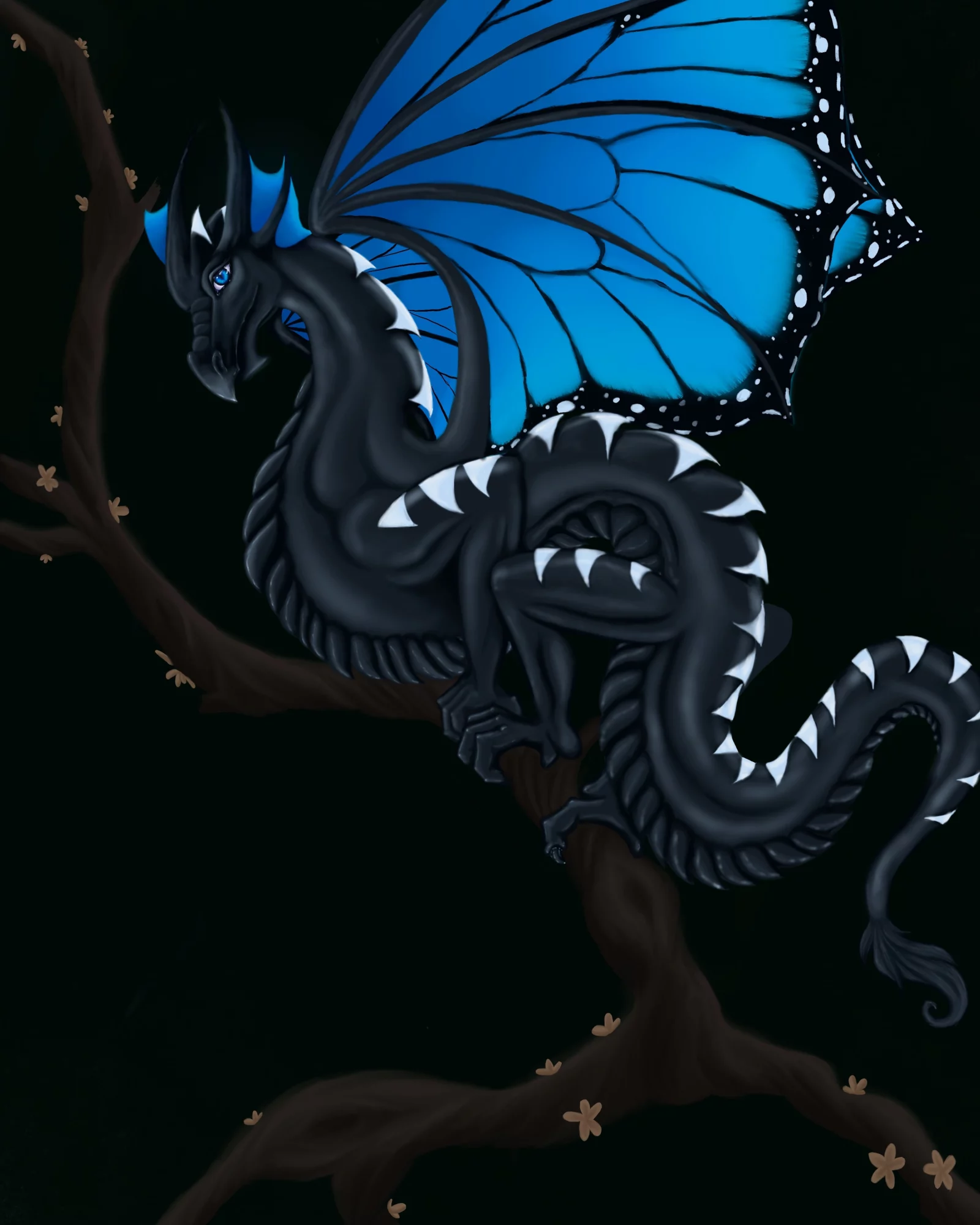 A black dragon with blue butterfly wings perched on a dark tree branch against a black background.