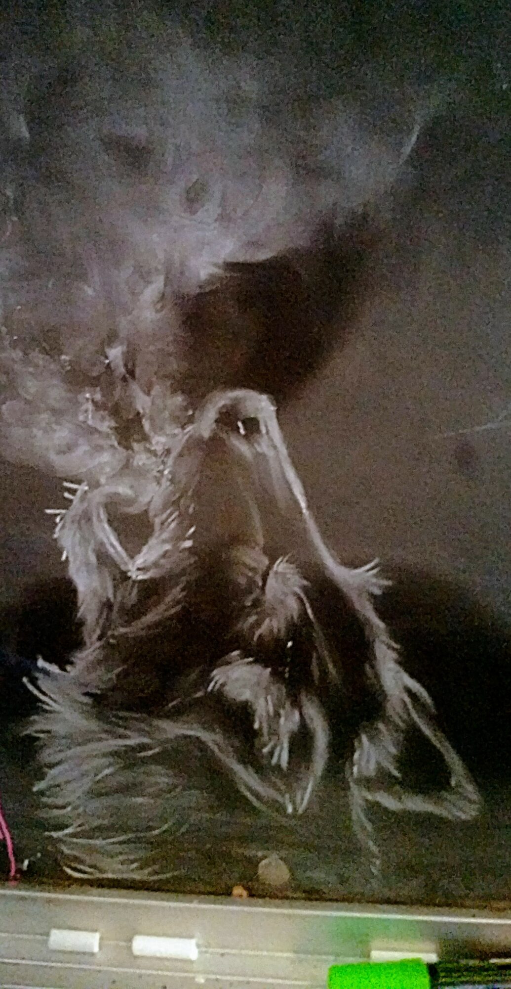 A cat lying on its back with paws raised, in a dark environment. The image is upside down.