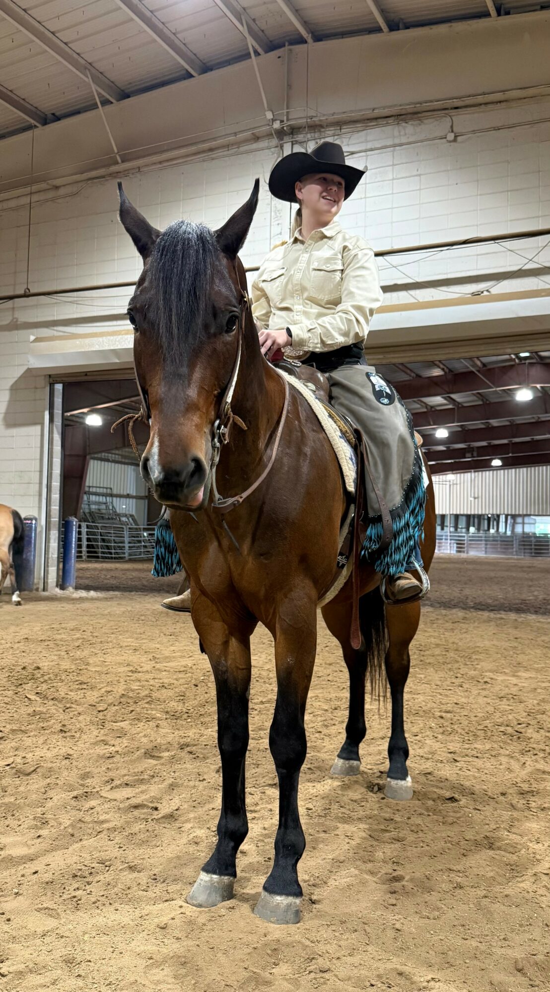 Person wearing a cowboy hat and light-colored shirt riding a brown horse inside an indoor arena.
