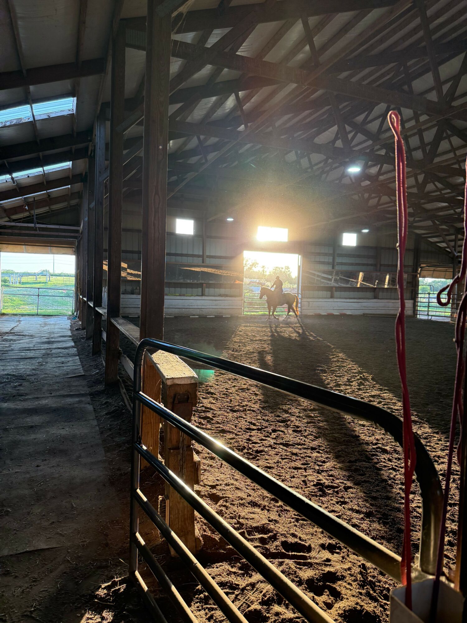 Indoor area with metal railing, dirt floor, and bright light source in the background.